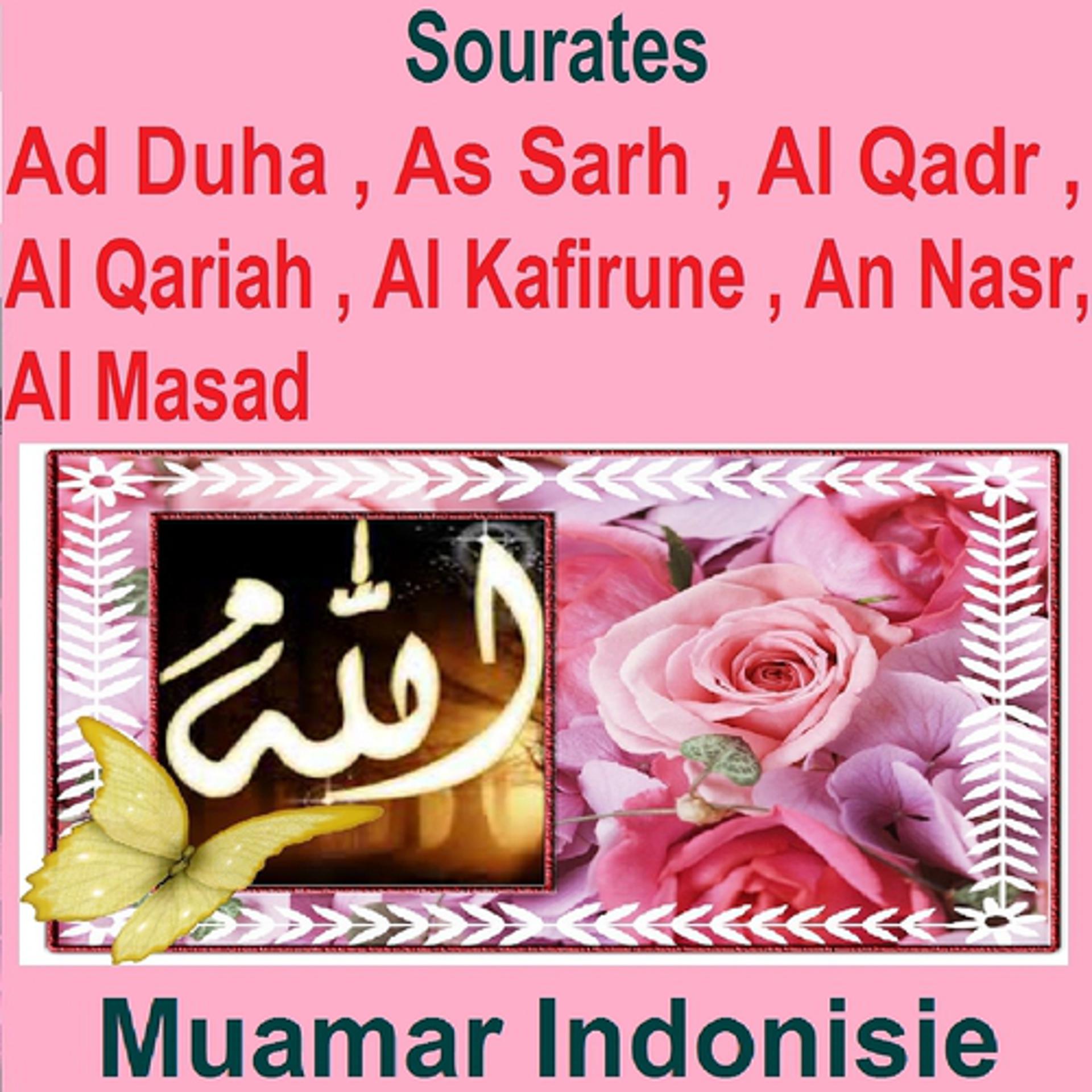 Постер альбома Sourates Ad Duha, As Sarh, Al Qadr, Al Qariah, Al Kafirune, An Nasr, Al Masad