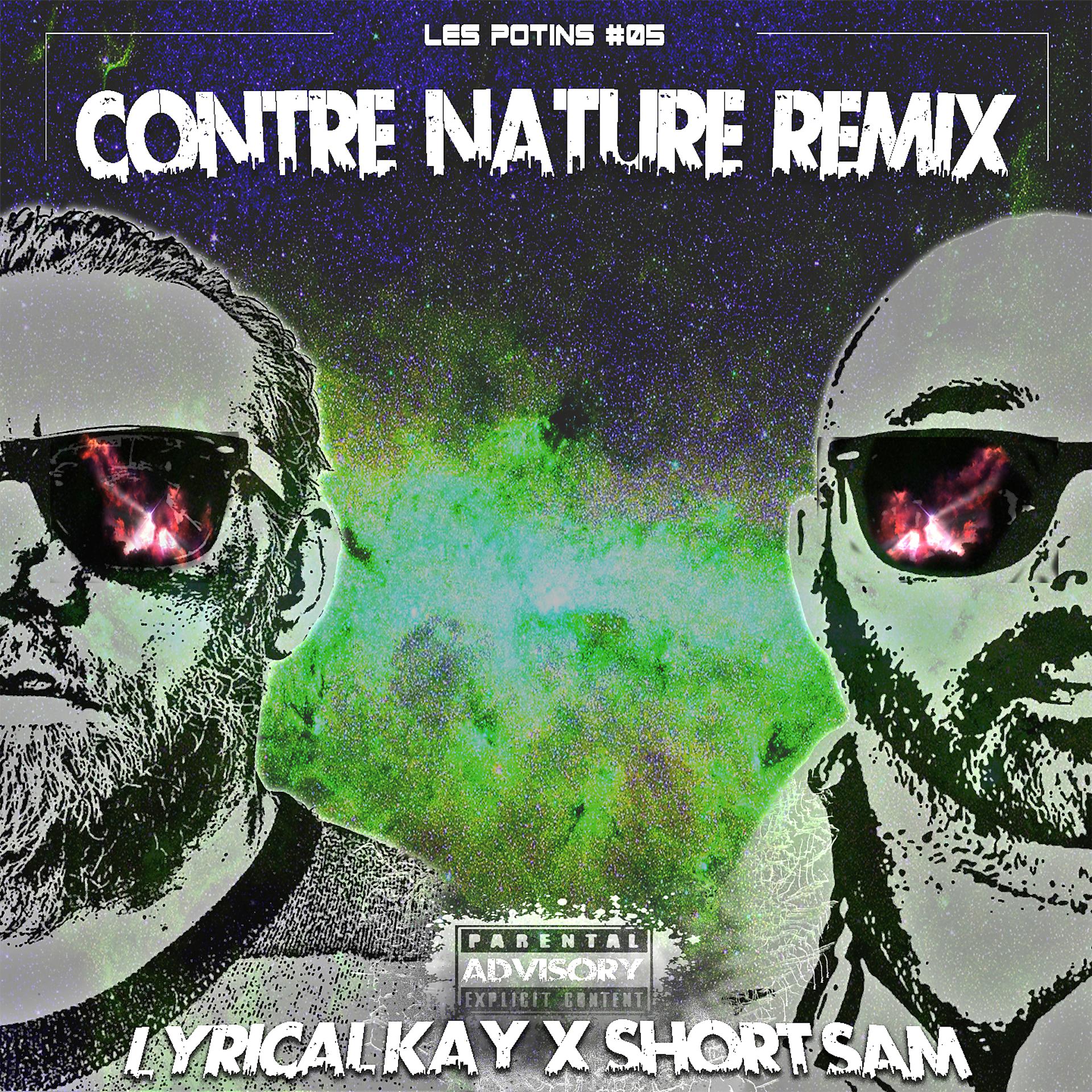 Постер альбома Contre nature (Remix) [Les potins #5]