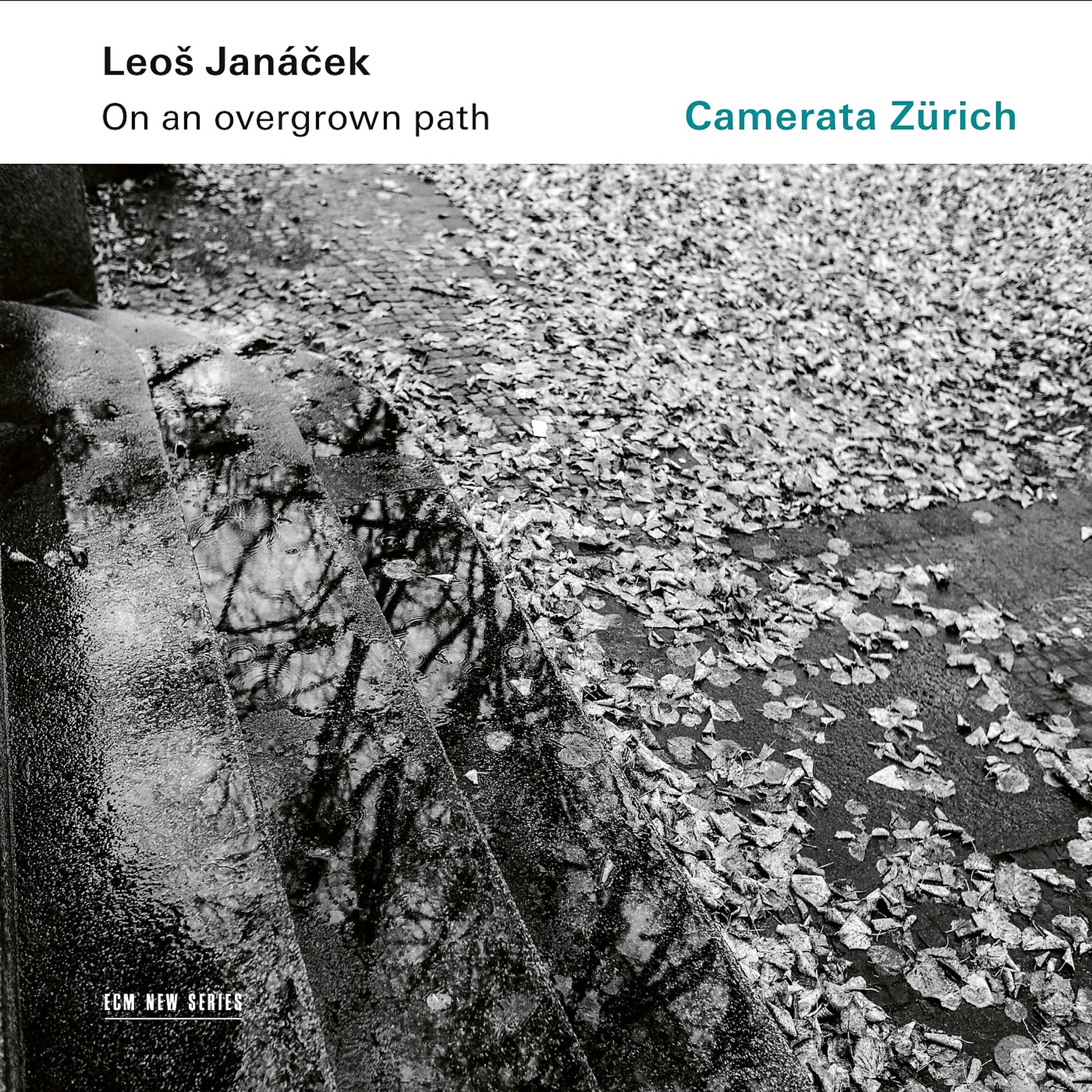 Постер альбома Janáček: On An Overgrown Path (Po zarostlém chodnicku), JW 8/17 - Arr. Rumler for String Orchestra / Book I: 10. The Barn Owl Has Flown Away!