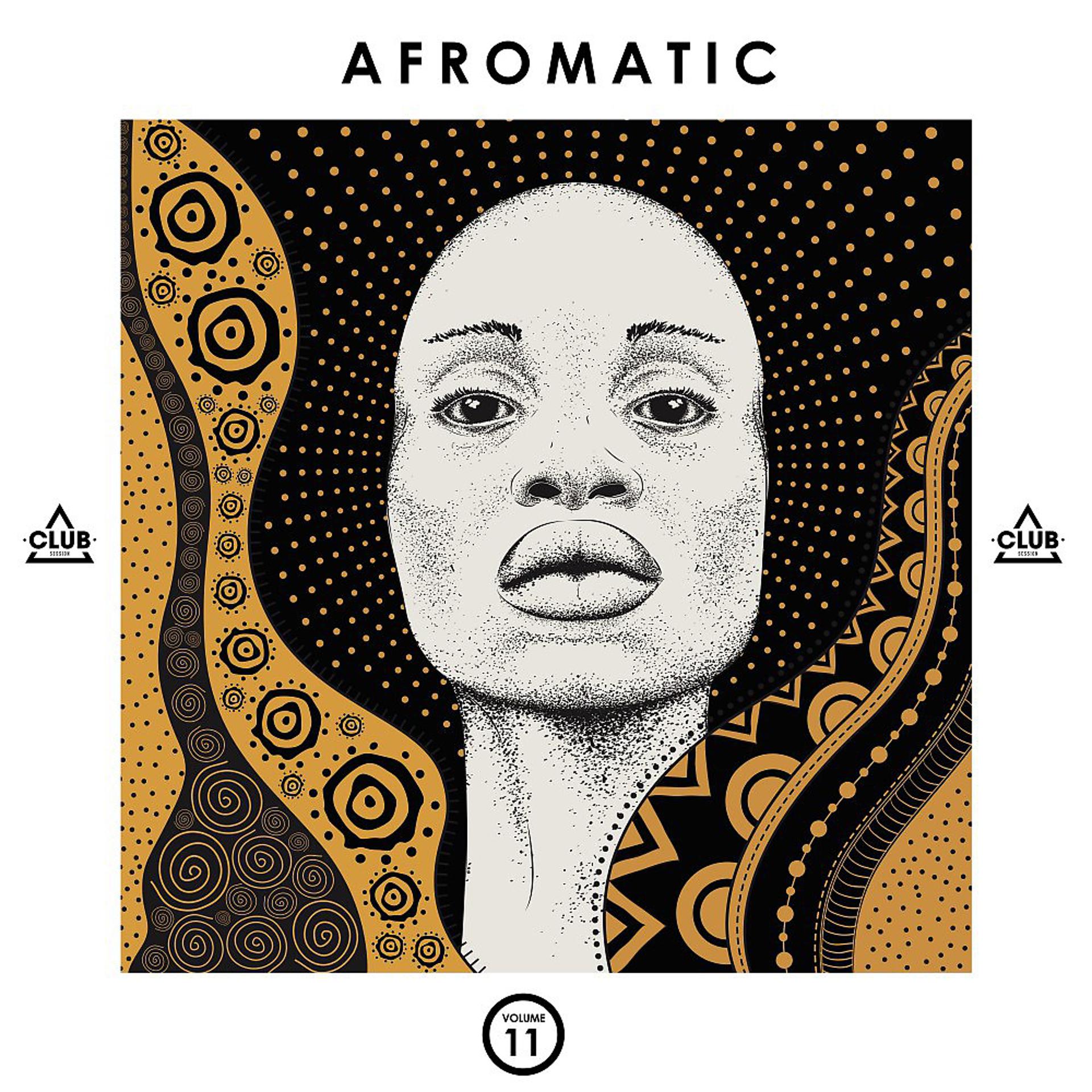 Постер альбома Afromatic, Vol. 11