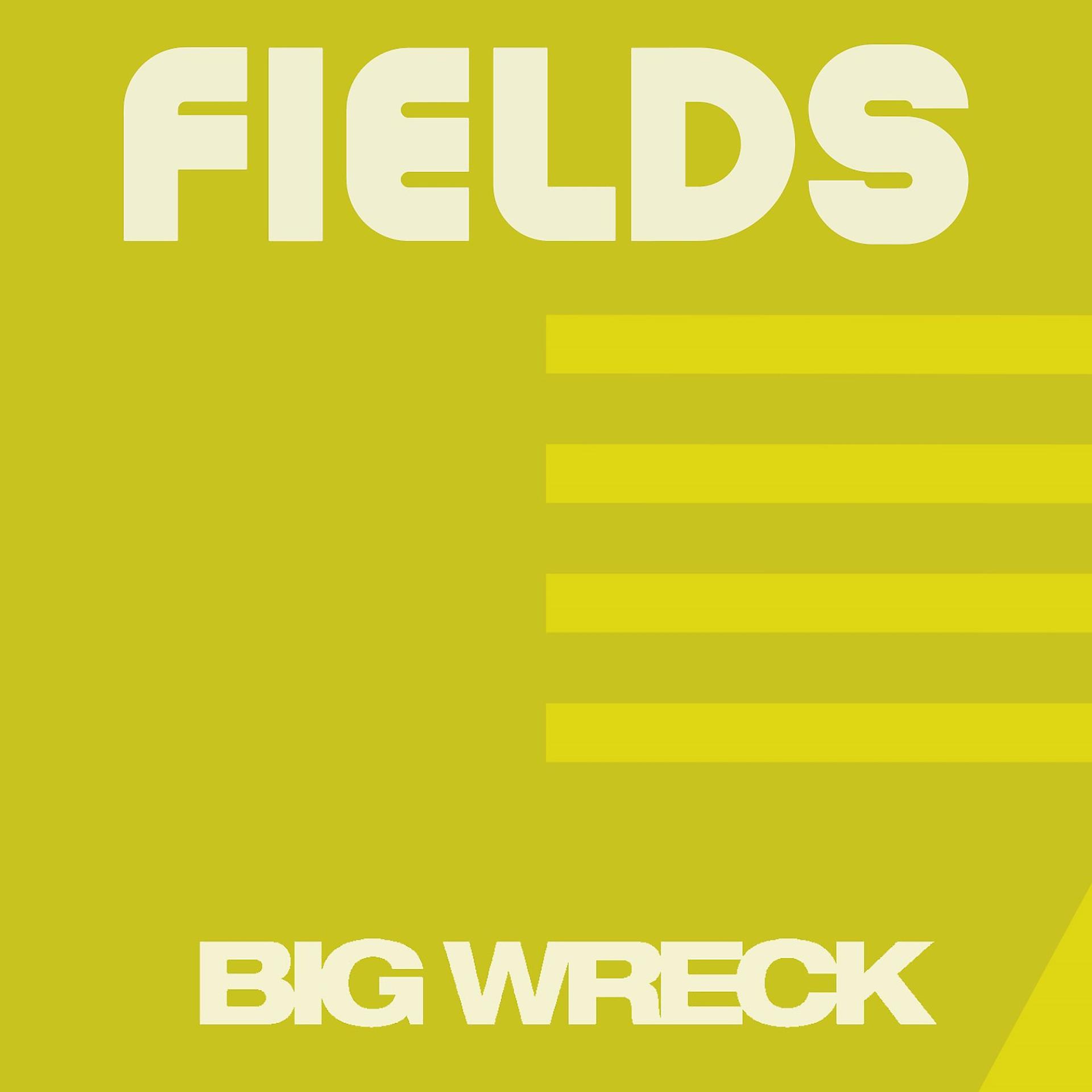 Постер альбома Fields