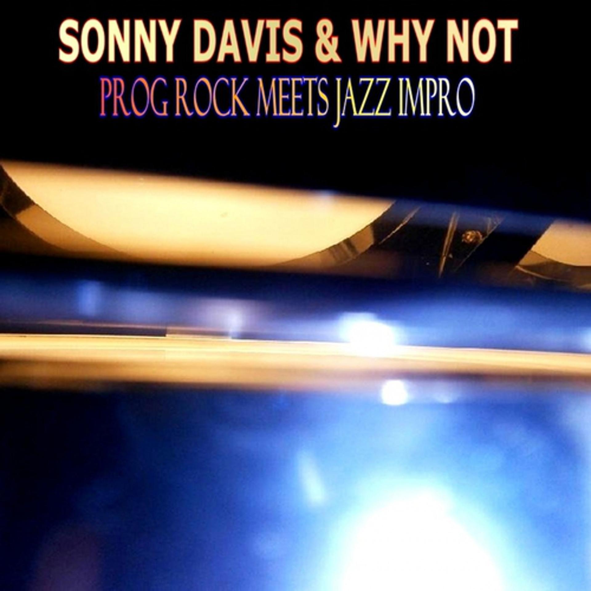Постер альбома Prog Rock Meets Jazz Impro