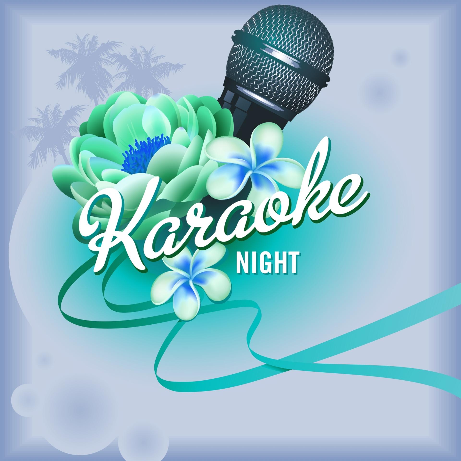 Постер альбома Karaoke Night