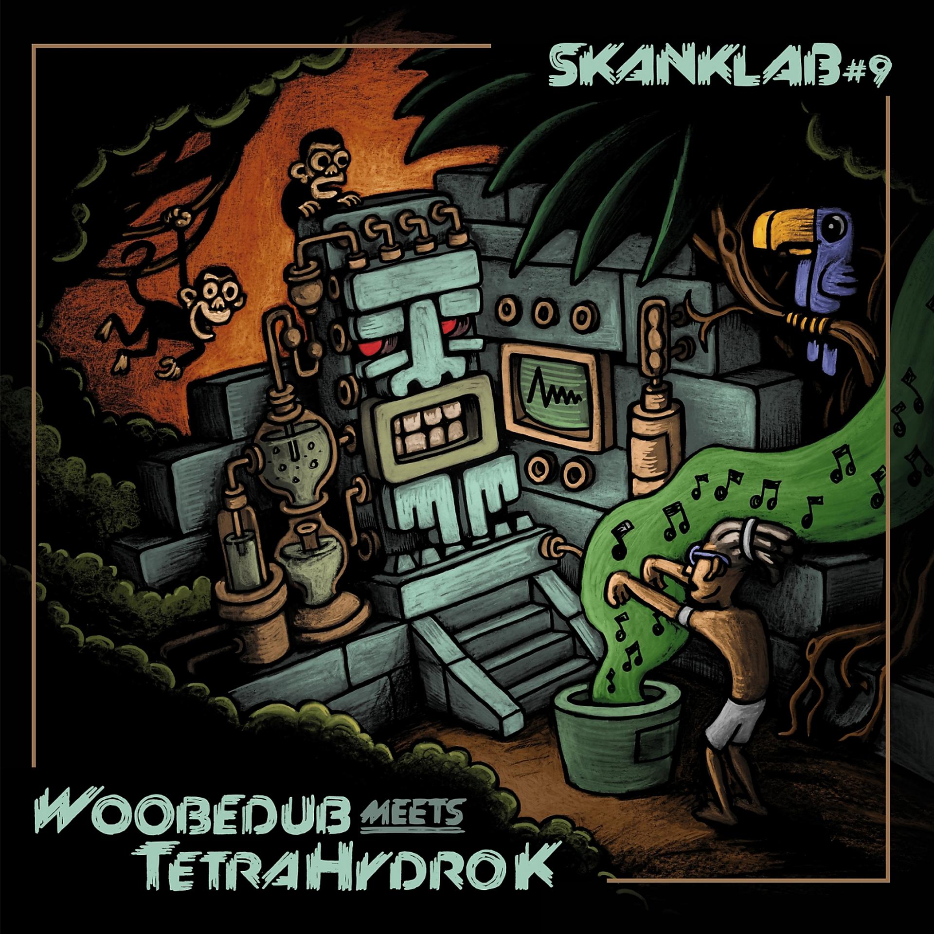 Постер альбома Skank Lab #9