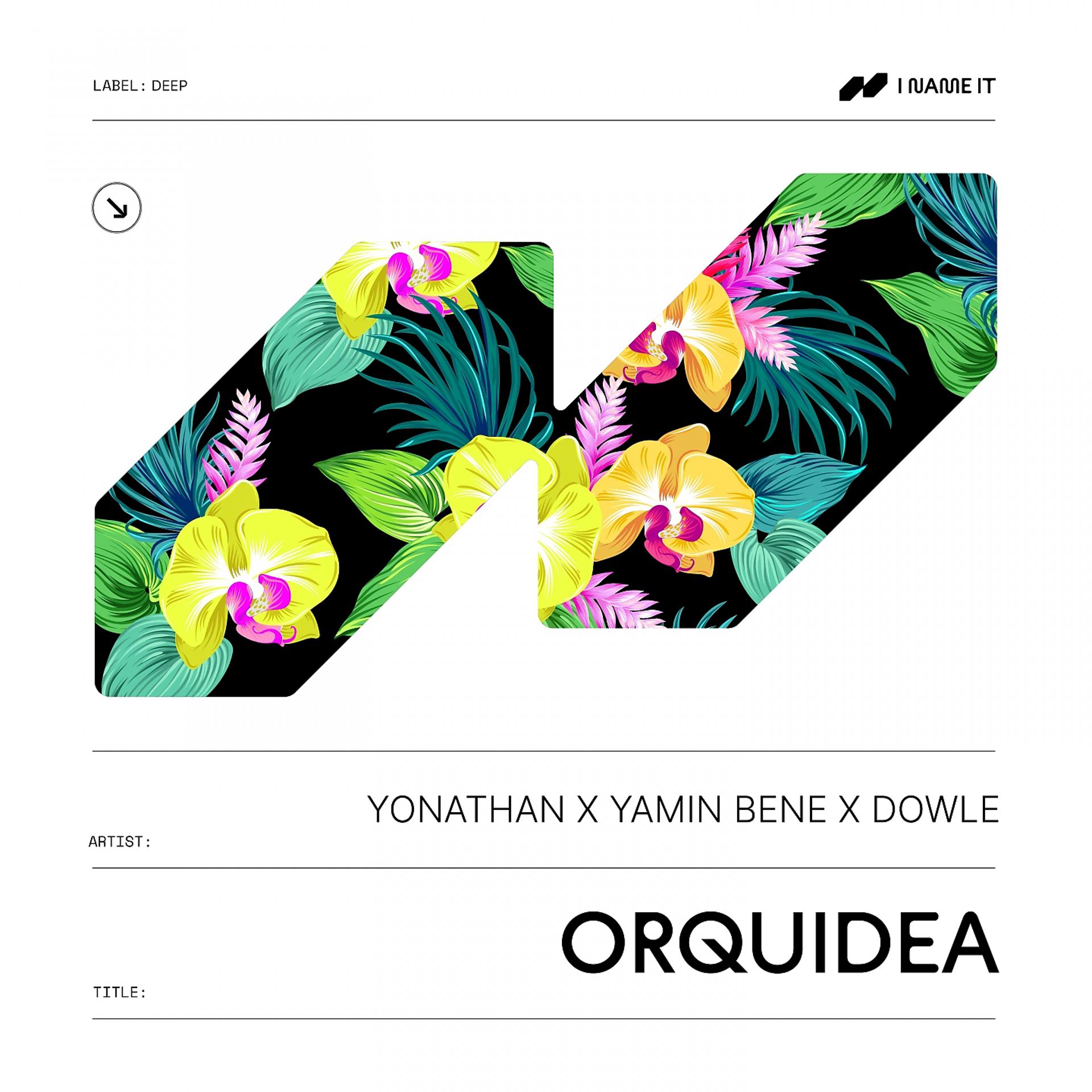 Постер альбома Orquidea