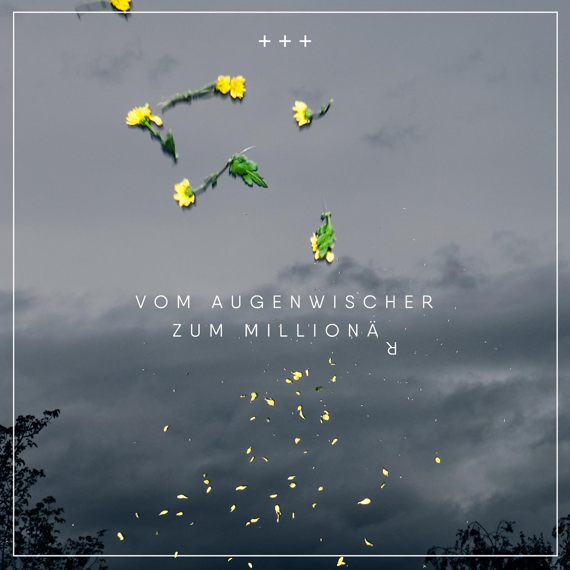 Постер альбома Vom Augenwischer zum Millionär