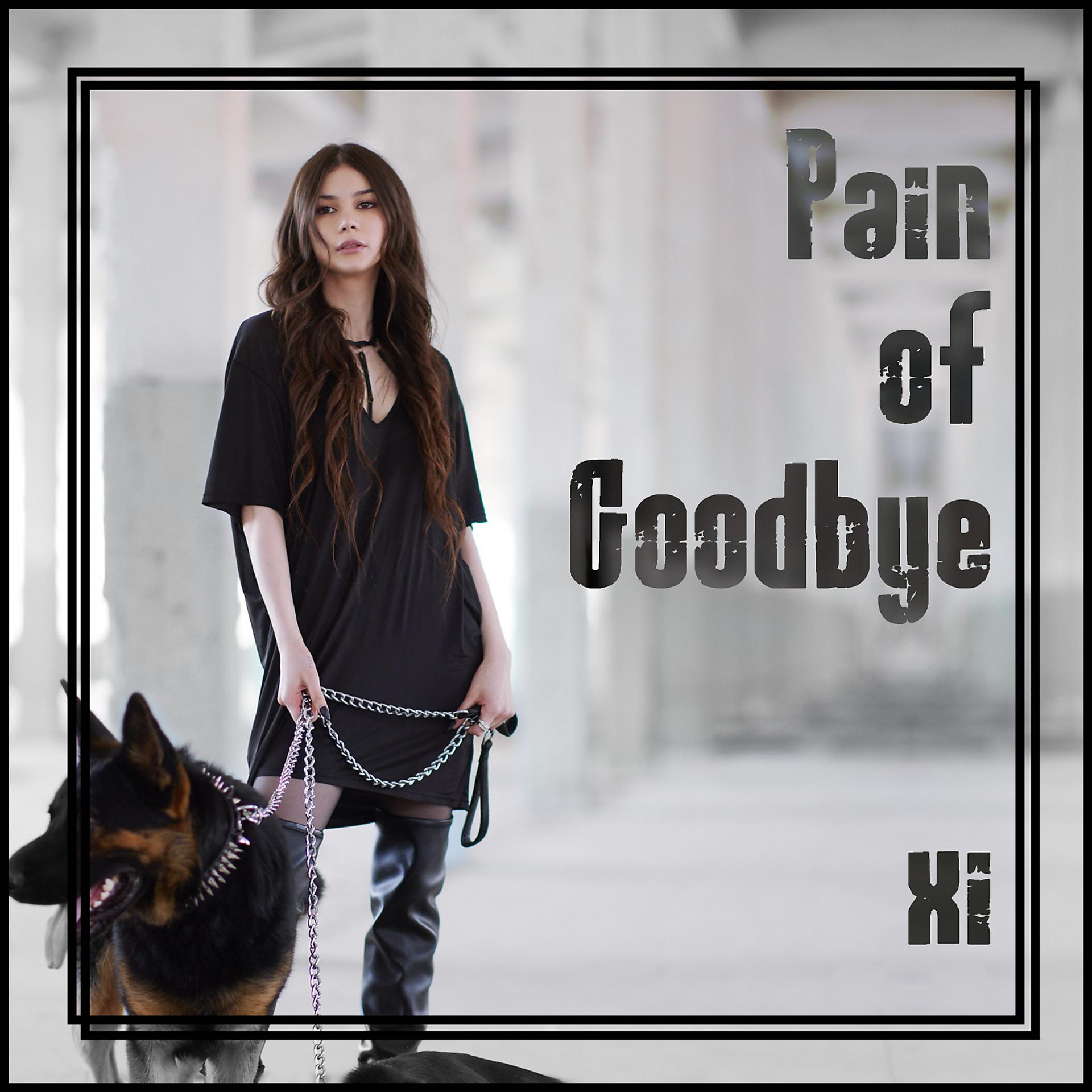Постер альбома Pain of Goodbye