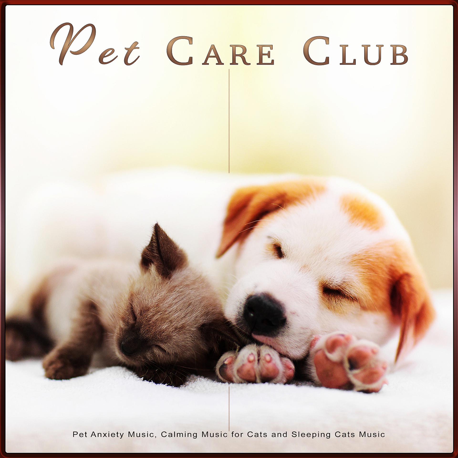 Постер альбома Pet Care Club: Pet Anxiety Music, Calming Music for Cats and Sleeping Cats Music