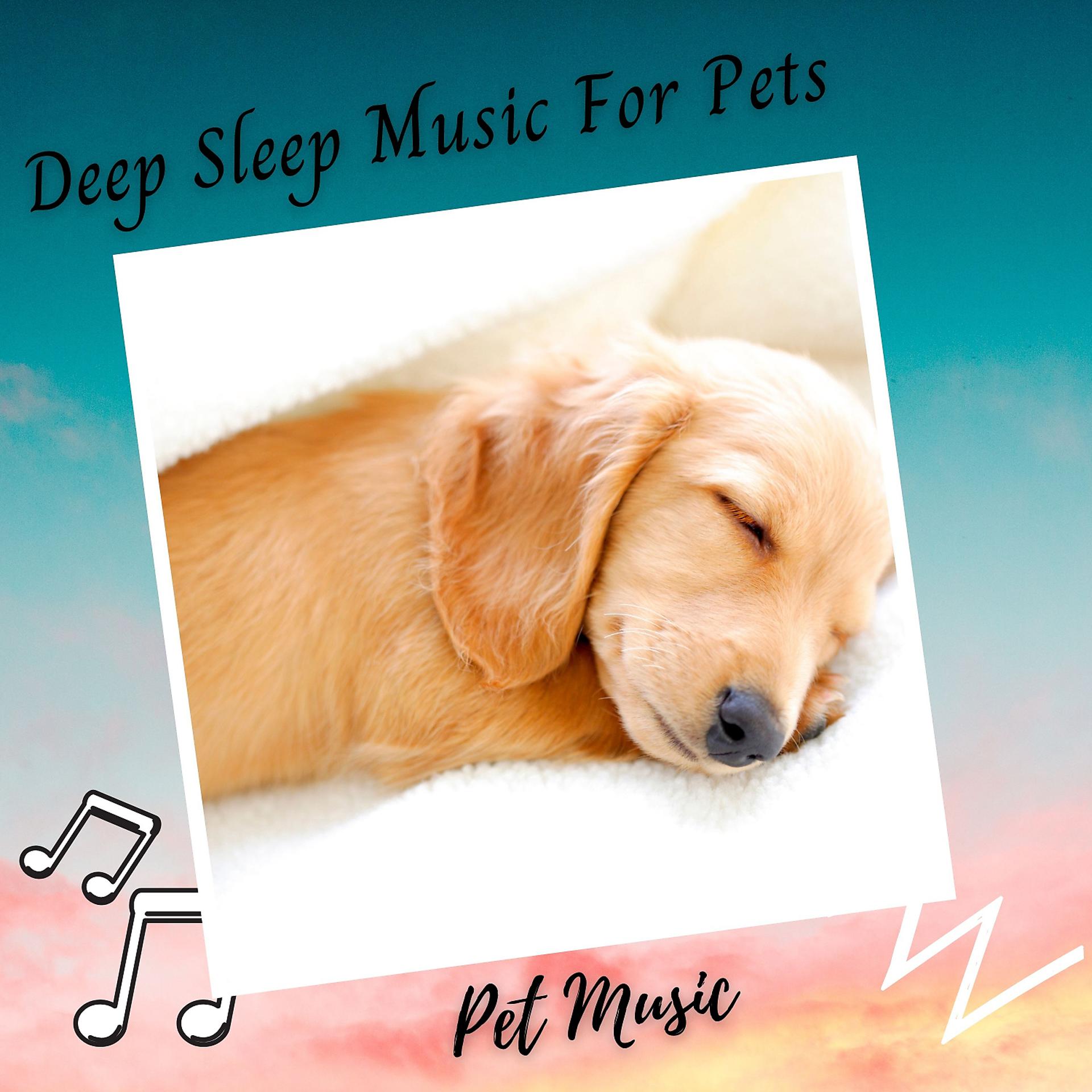 Постер альбома Pet Music: Deep Sleep Music For Pets