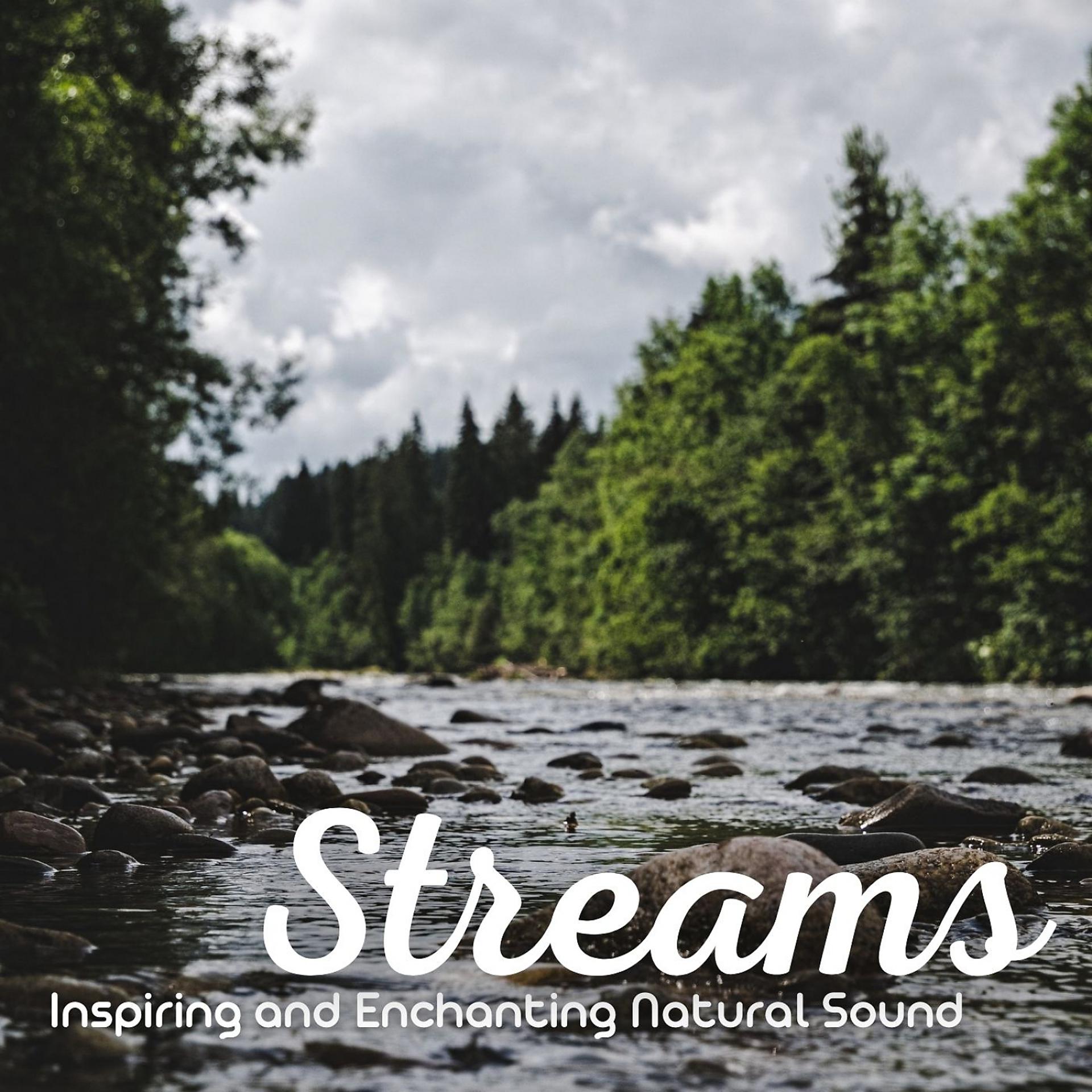 Постер альбома Streams: Inspiring and Enchanting Natural Sound
