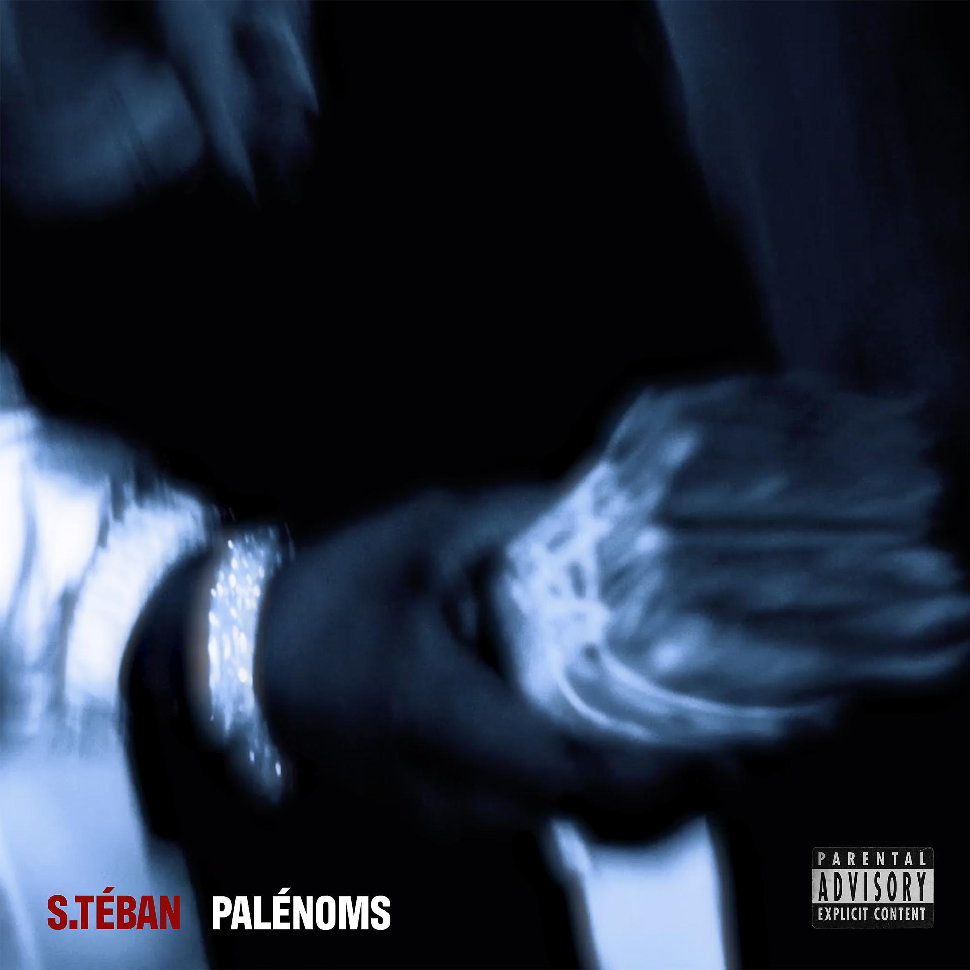 Постер альбома Palénoms