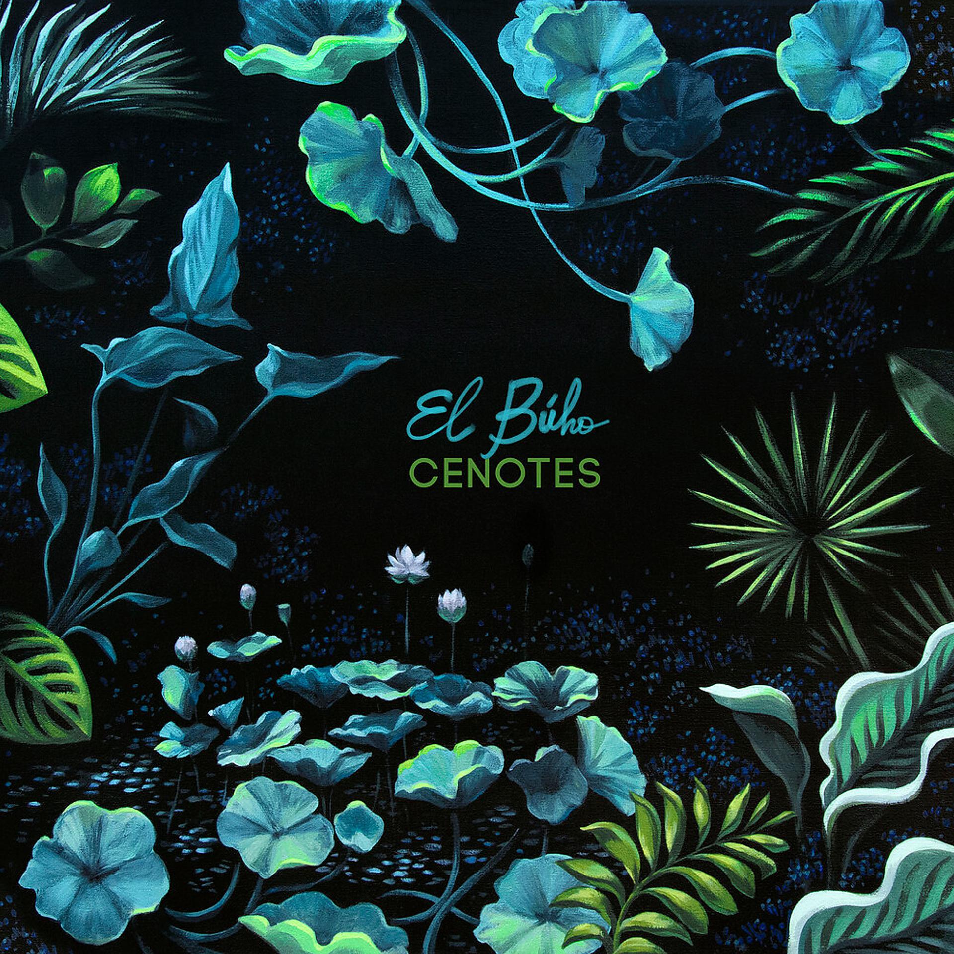 Постер альбома Cenotes