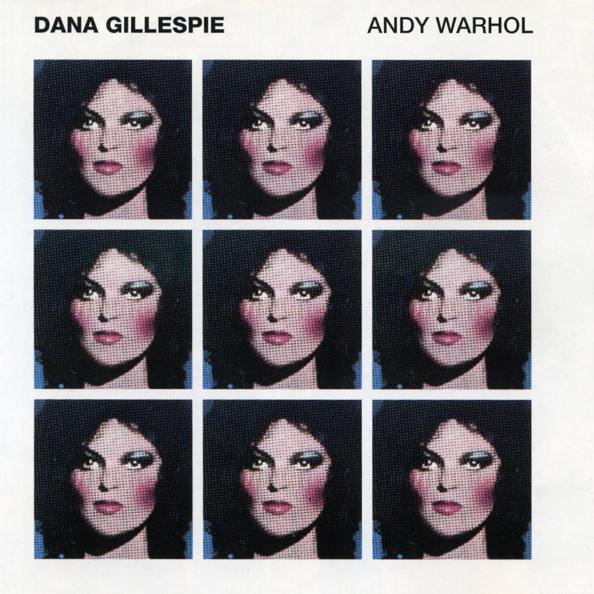 Постер альбома Andy Warhol