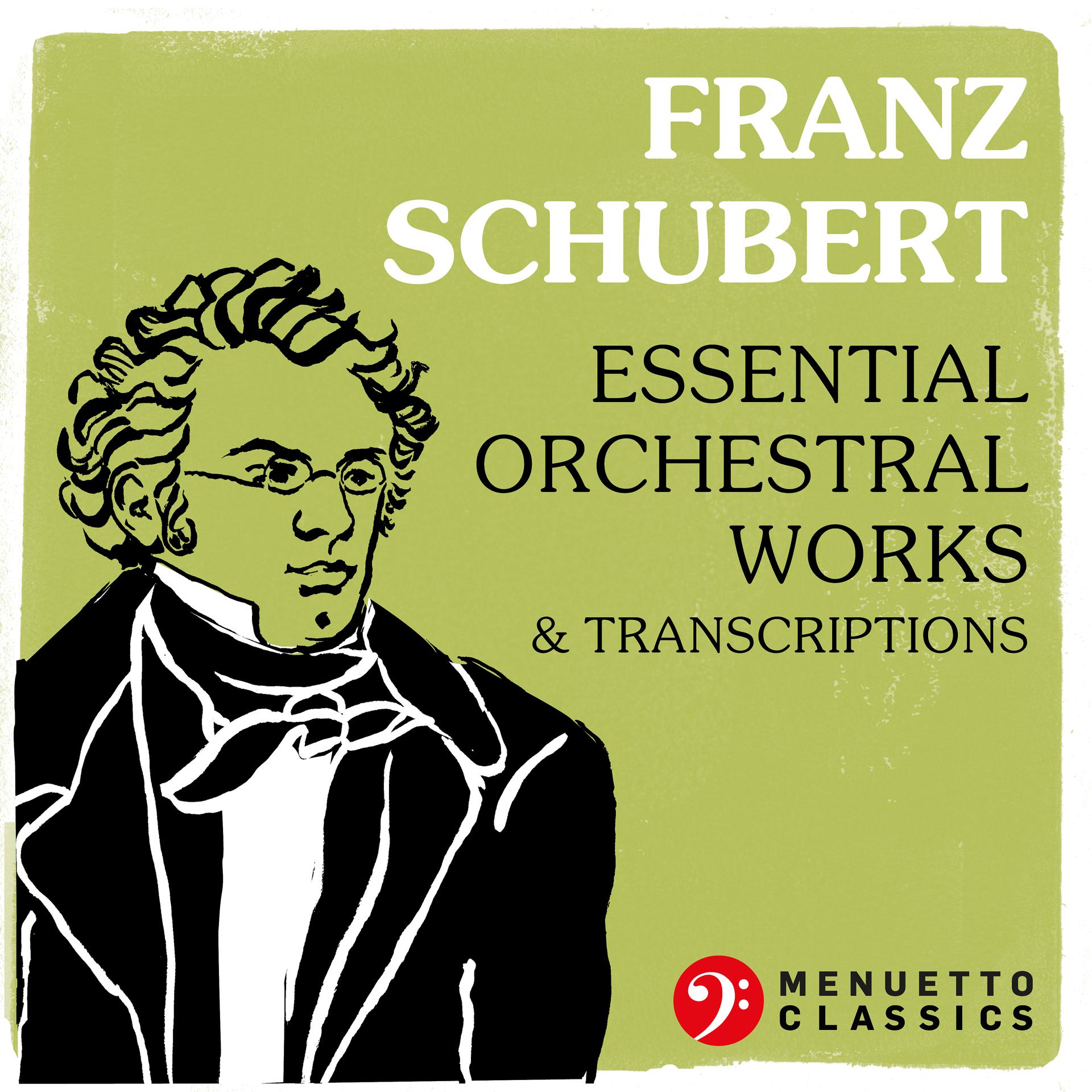 Постер альбома Franz Schubert: Essential Orchestral Works & Transcriptions