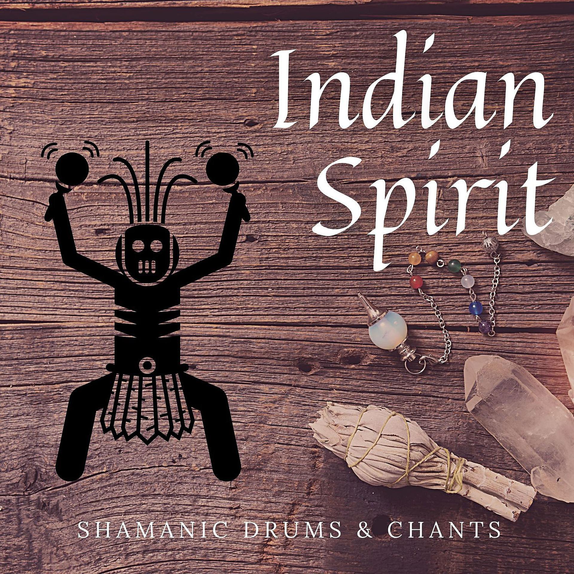 Постер альбома Indian Spirit, Shamanic Drums & Chants