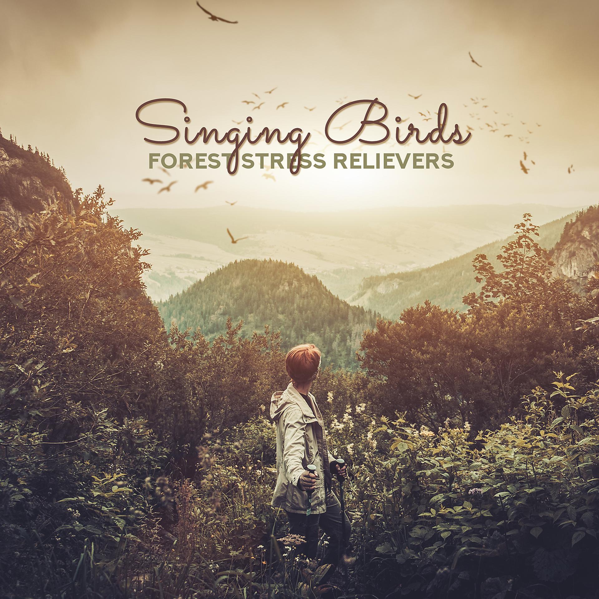 Постер альбома Singing Birds: Forest Stress Relievers