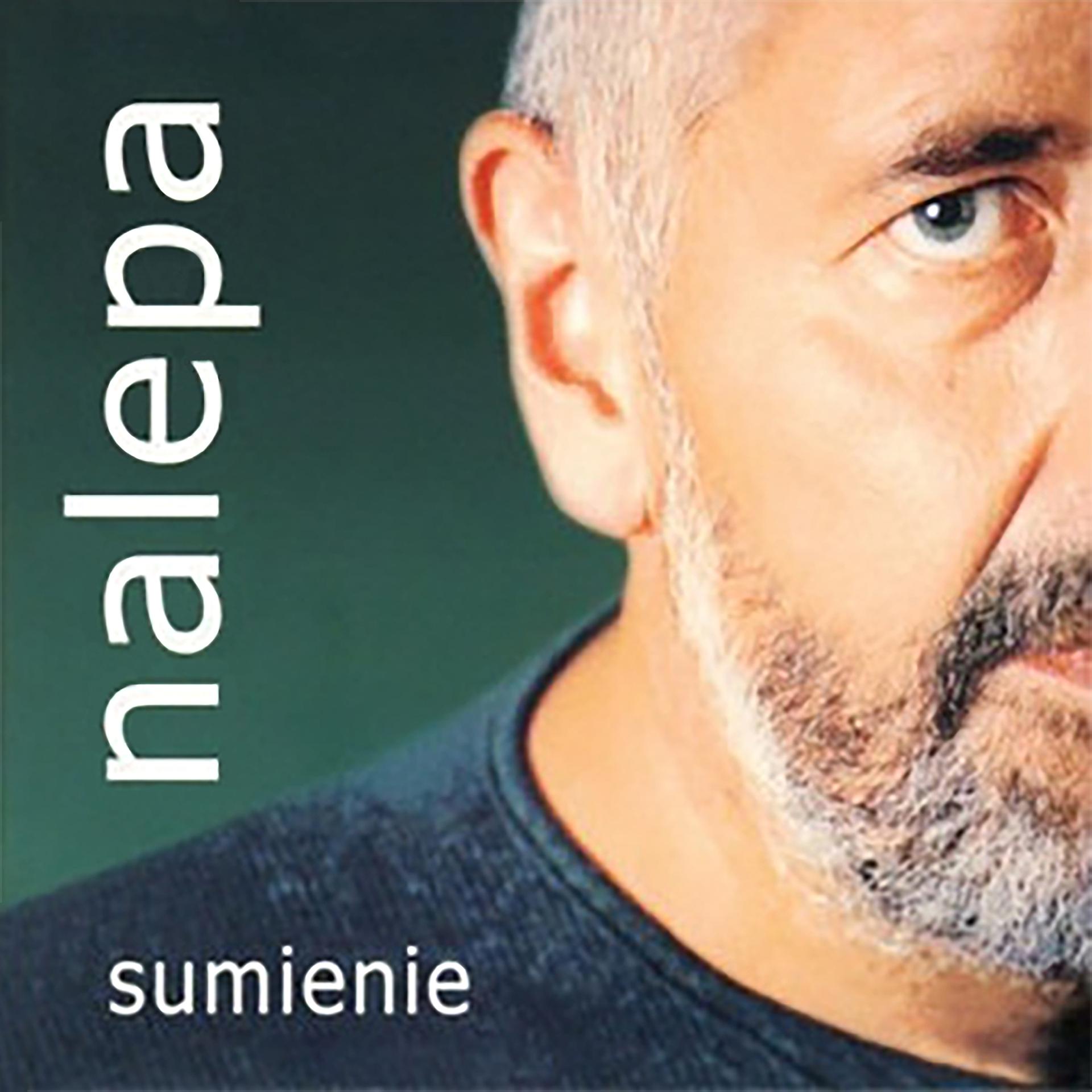Постер альбома Sumienie