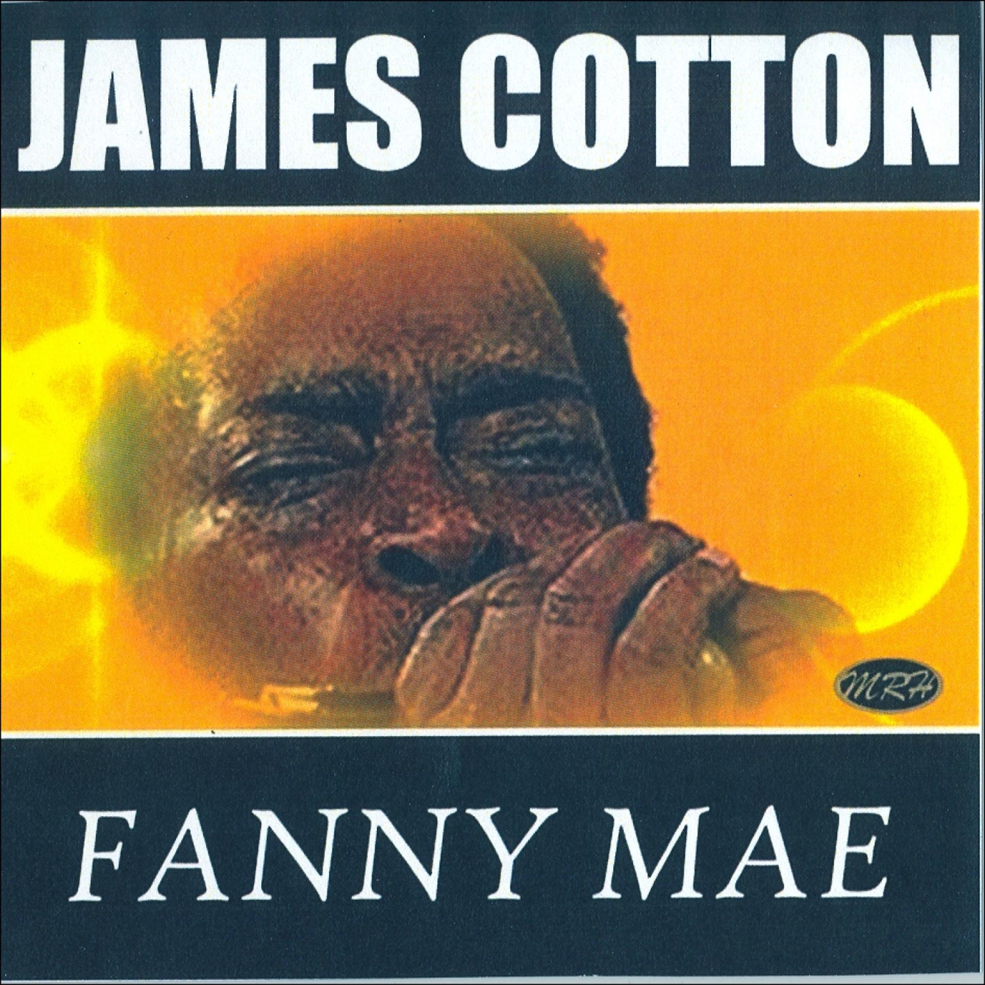 Постер альбома Fanny Mae