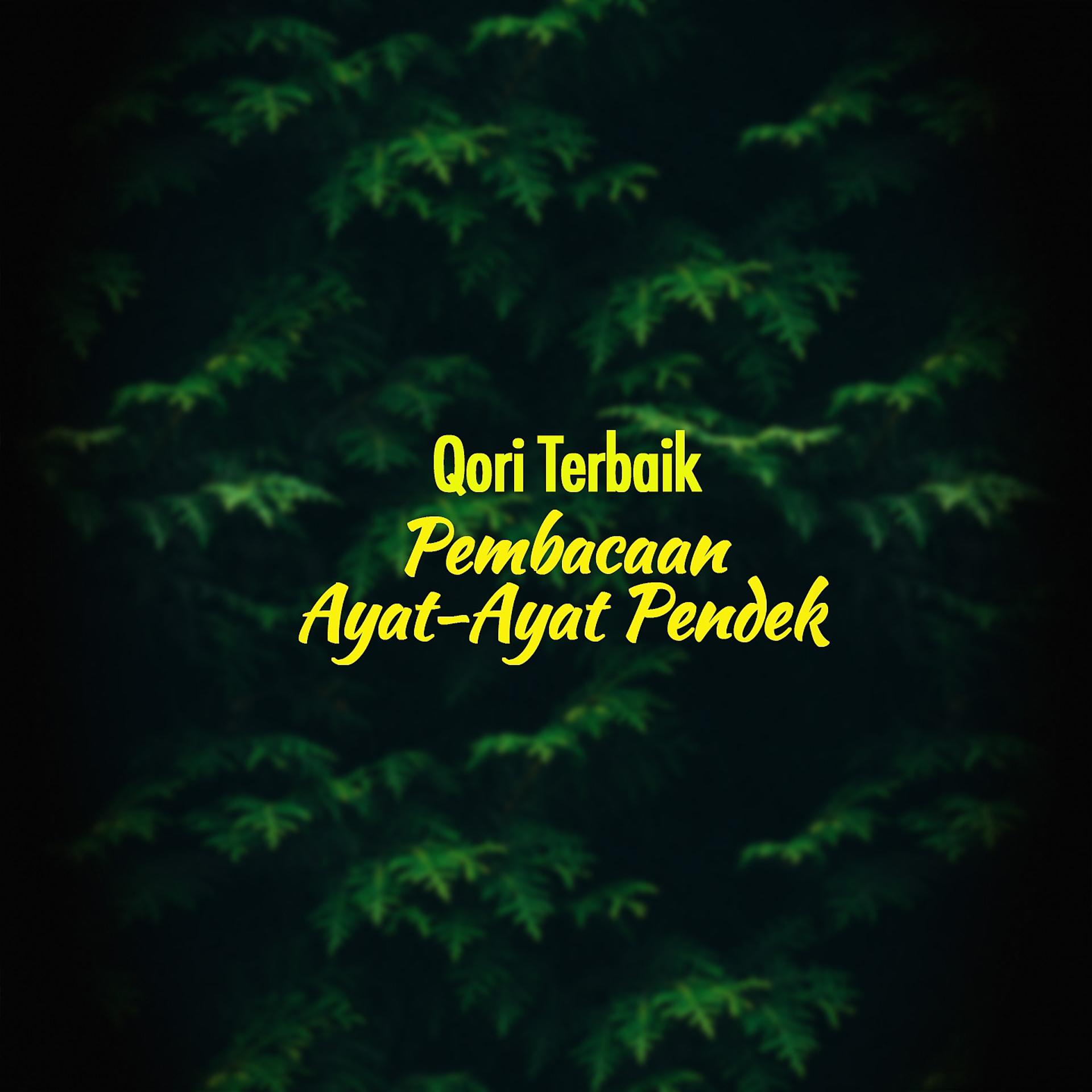 Постер альбома Qori Terbaik Pembacaan Ayat-Ayat Pendek
