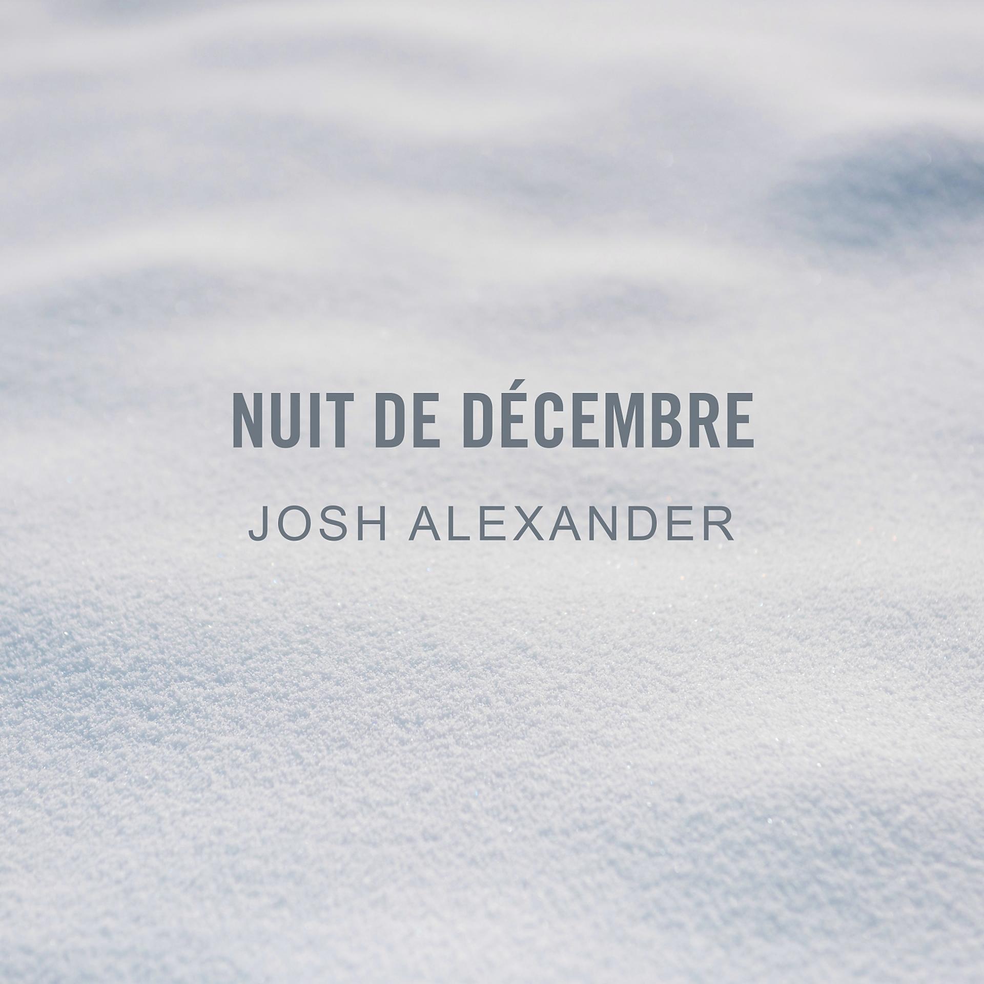 Постер альбома Nuit de décembre
