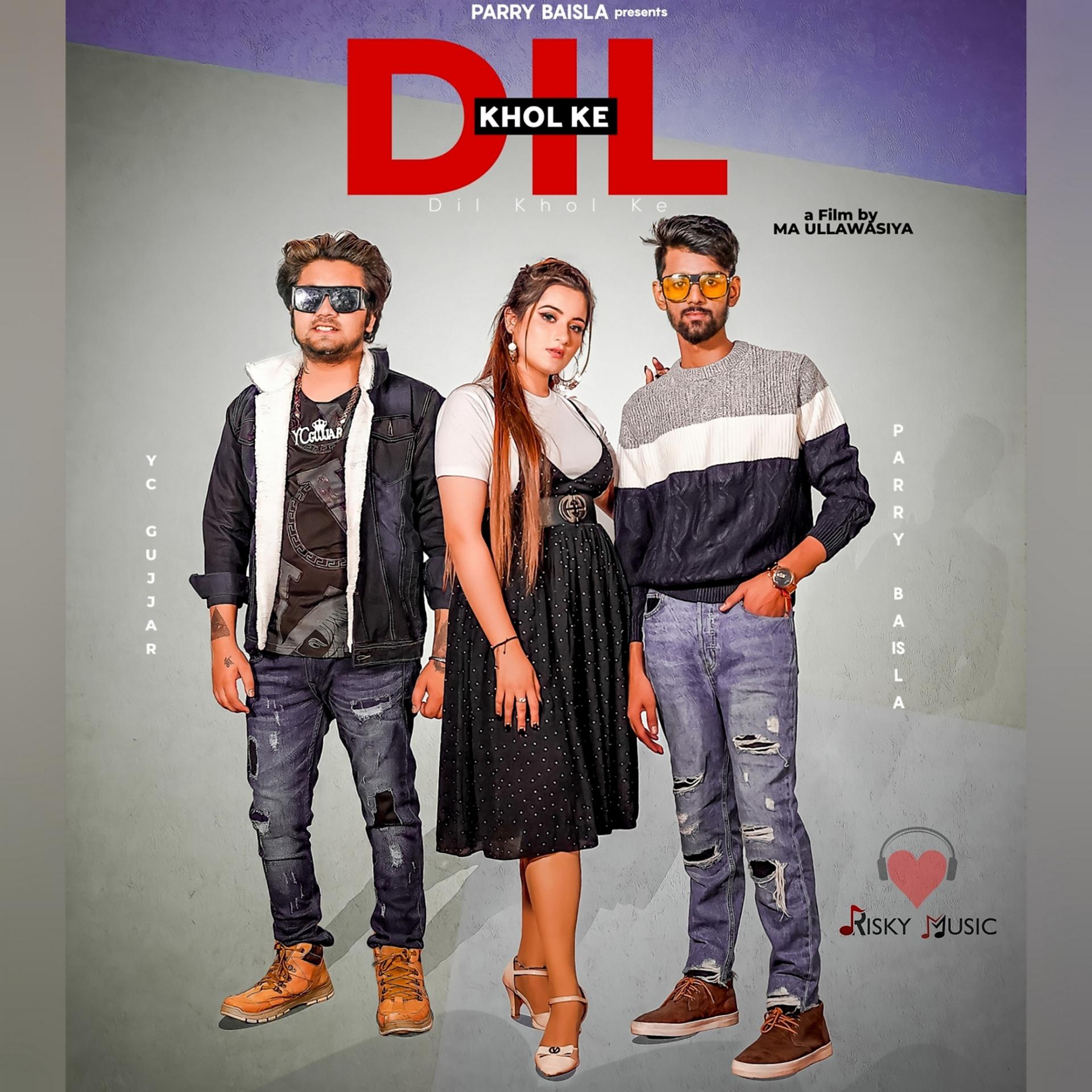 Постер альбома Dil Kholke