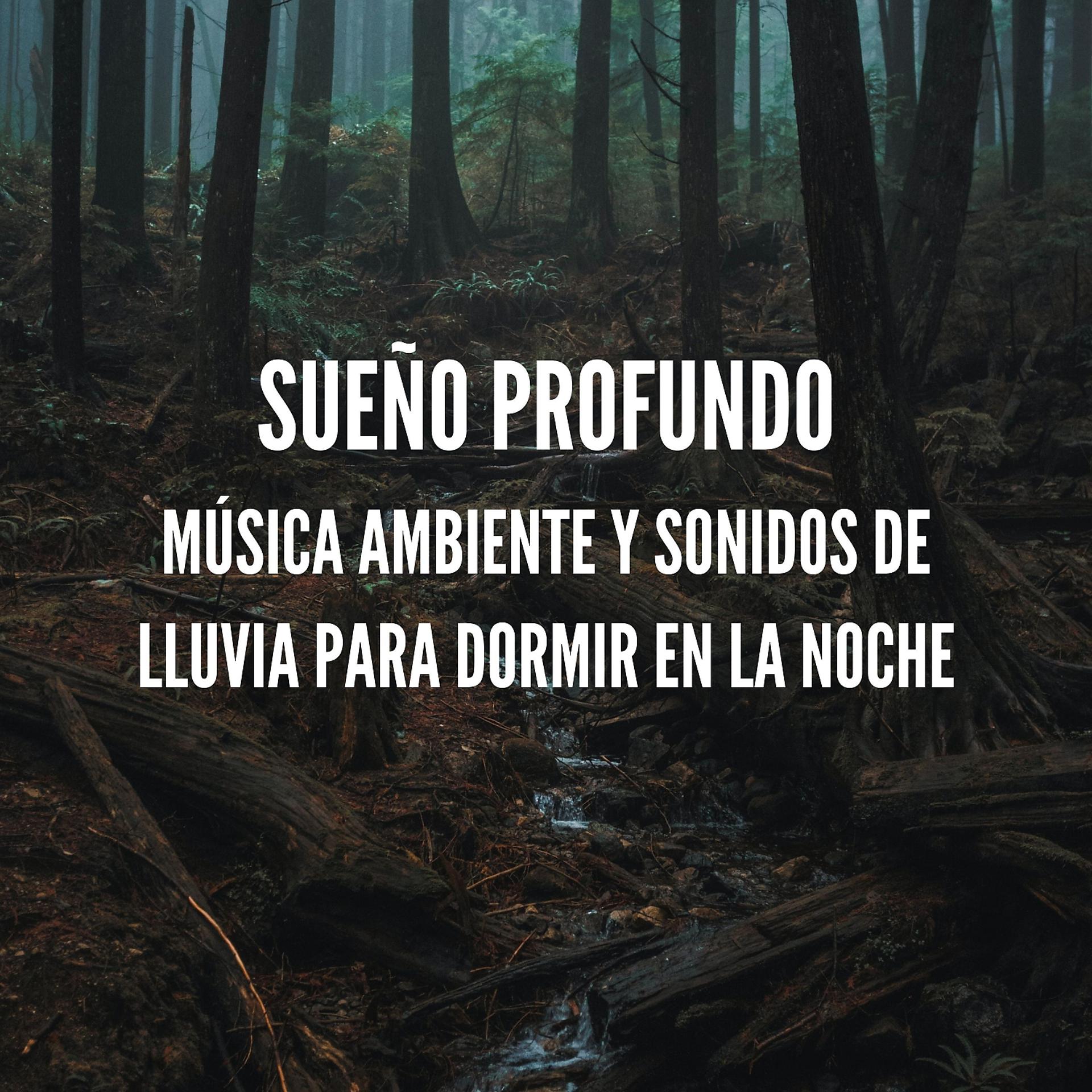 Постер альбома Sueño Profundo: Música Ambiente y Sonidos de Lluvia para Dormir en la Noche
