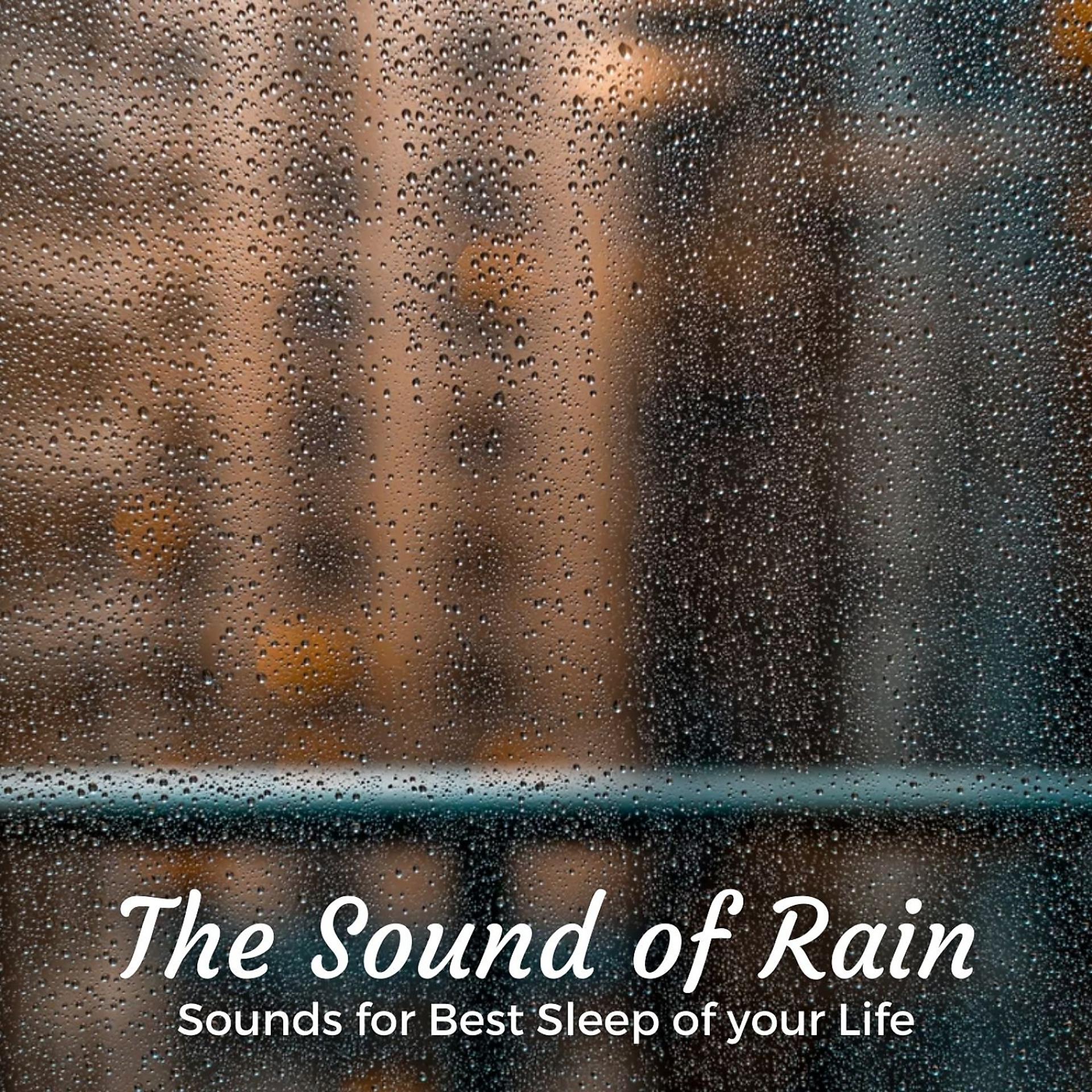 Постер альбома The Sound of Rain: Sounds for Best Sleep of your Life