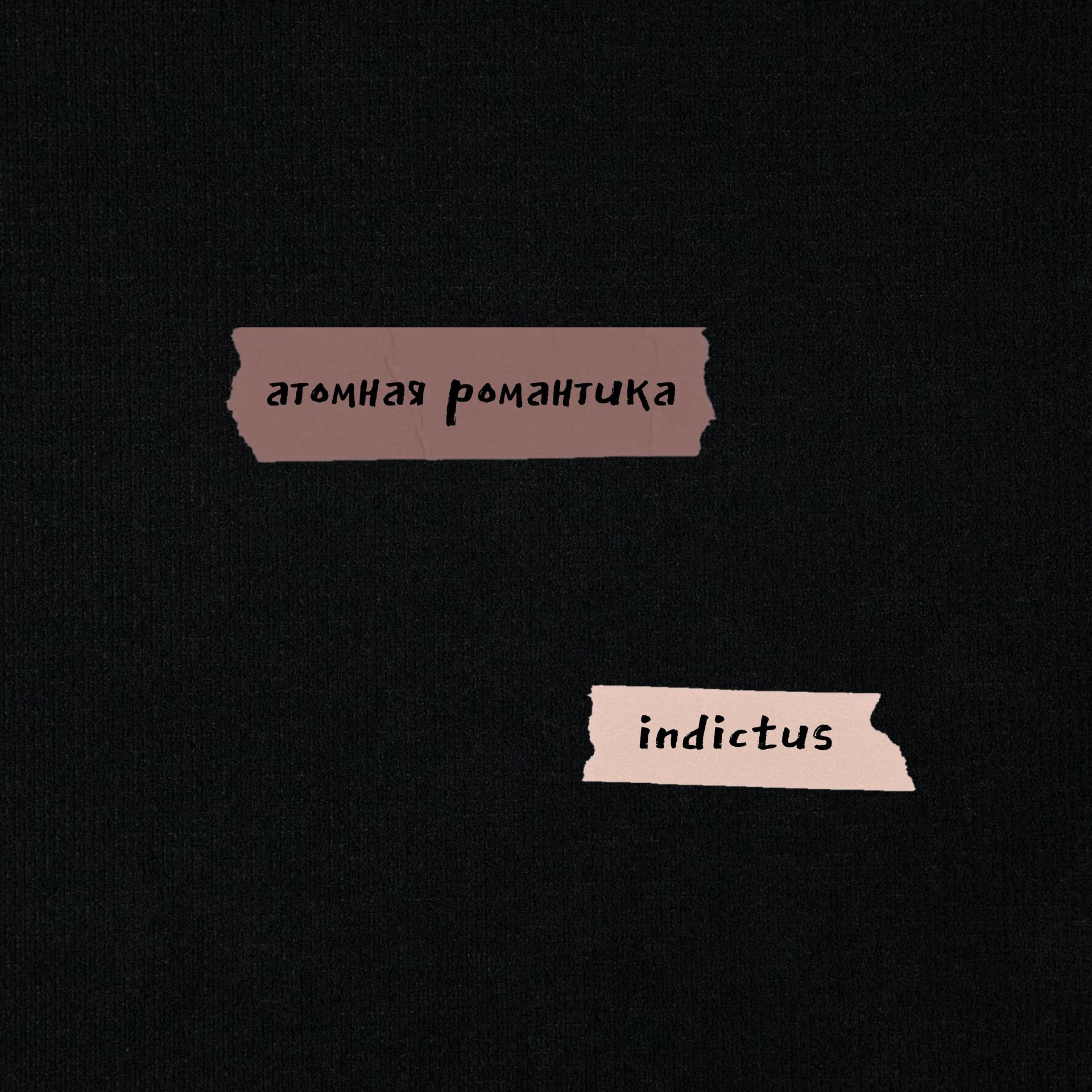Постер альбома Indictus