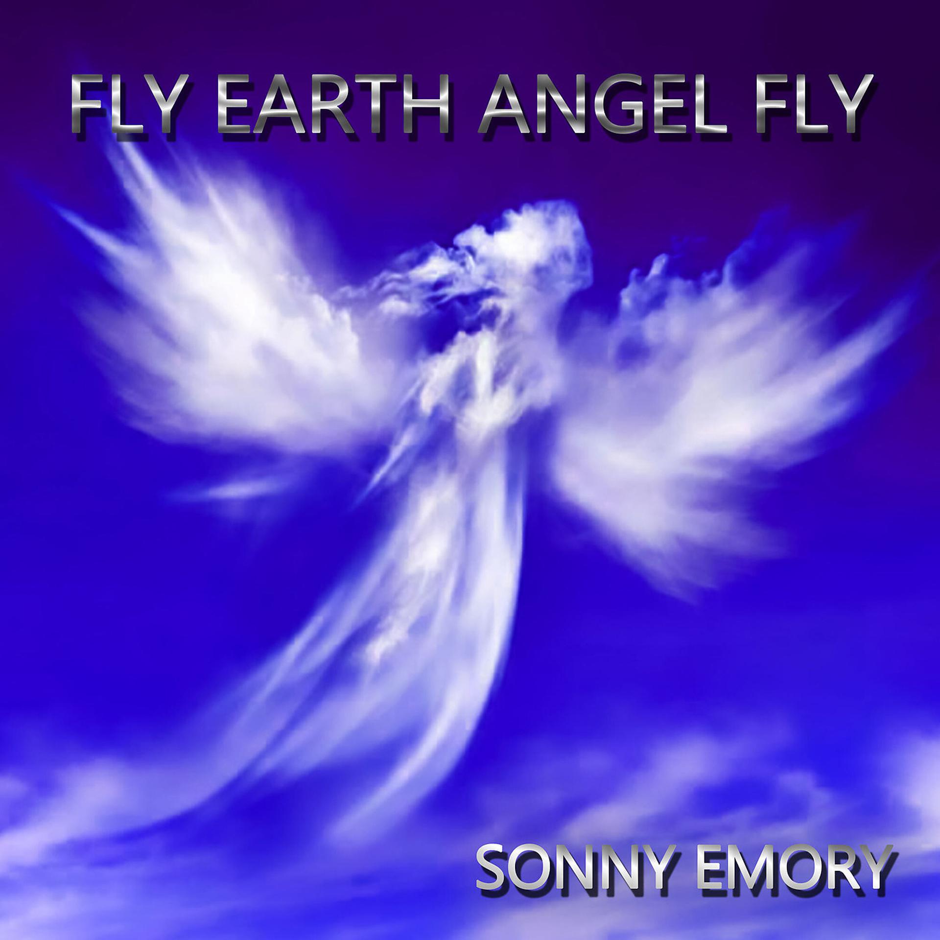 Постер альбома Fly Earth Angel Fly