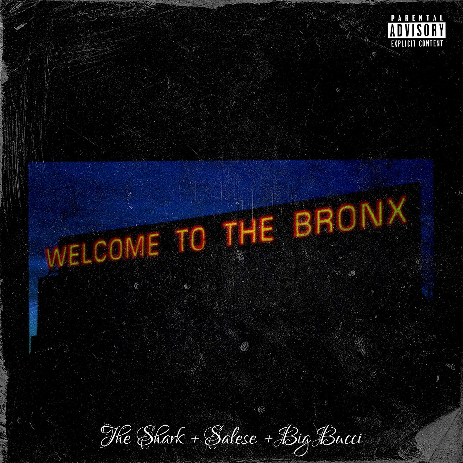 Постер альбома Welcome to the Bronx