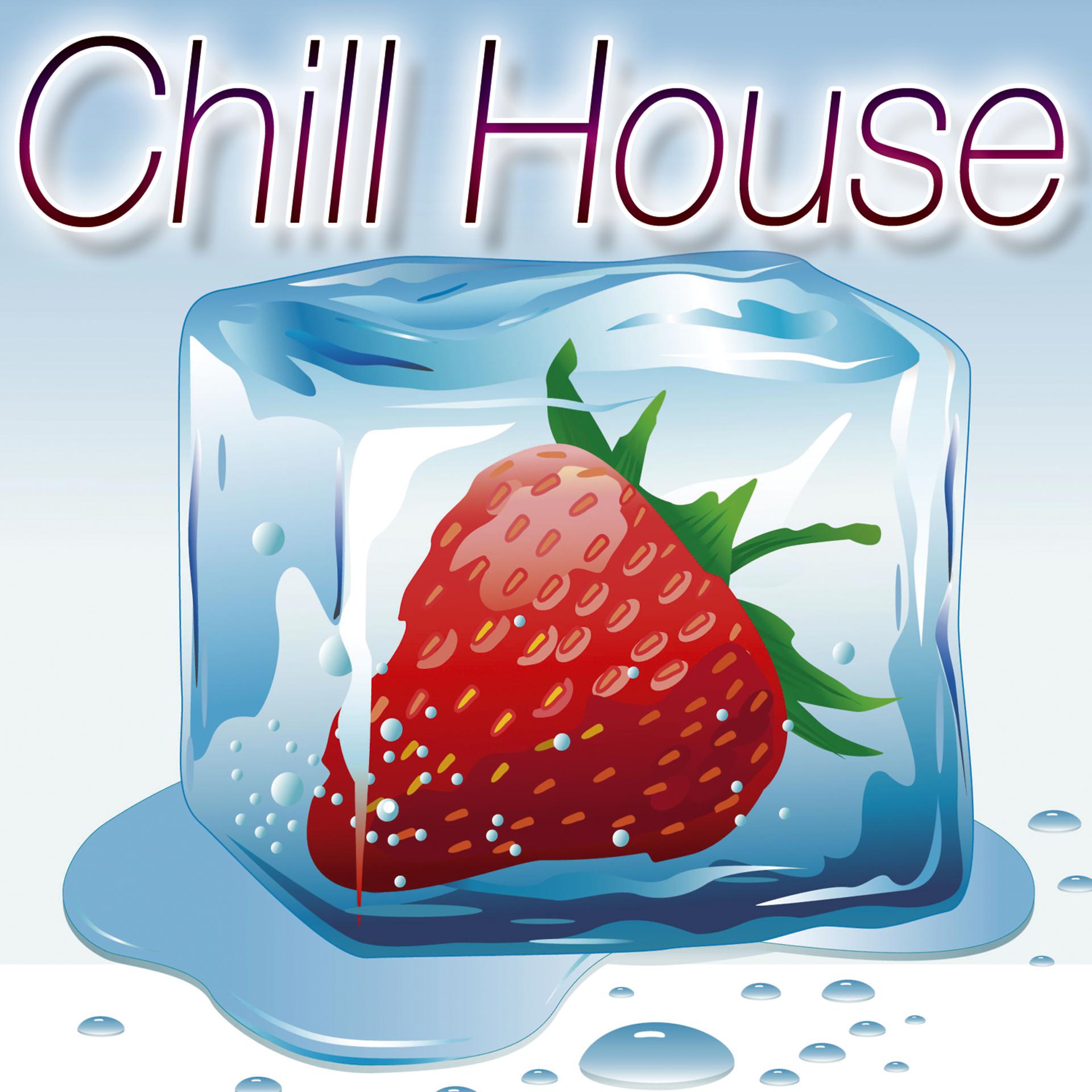 Постер альбома Chill House