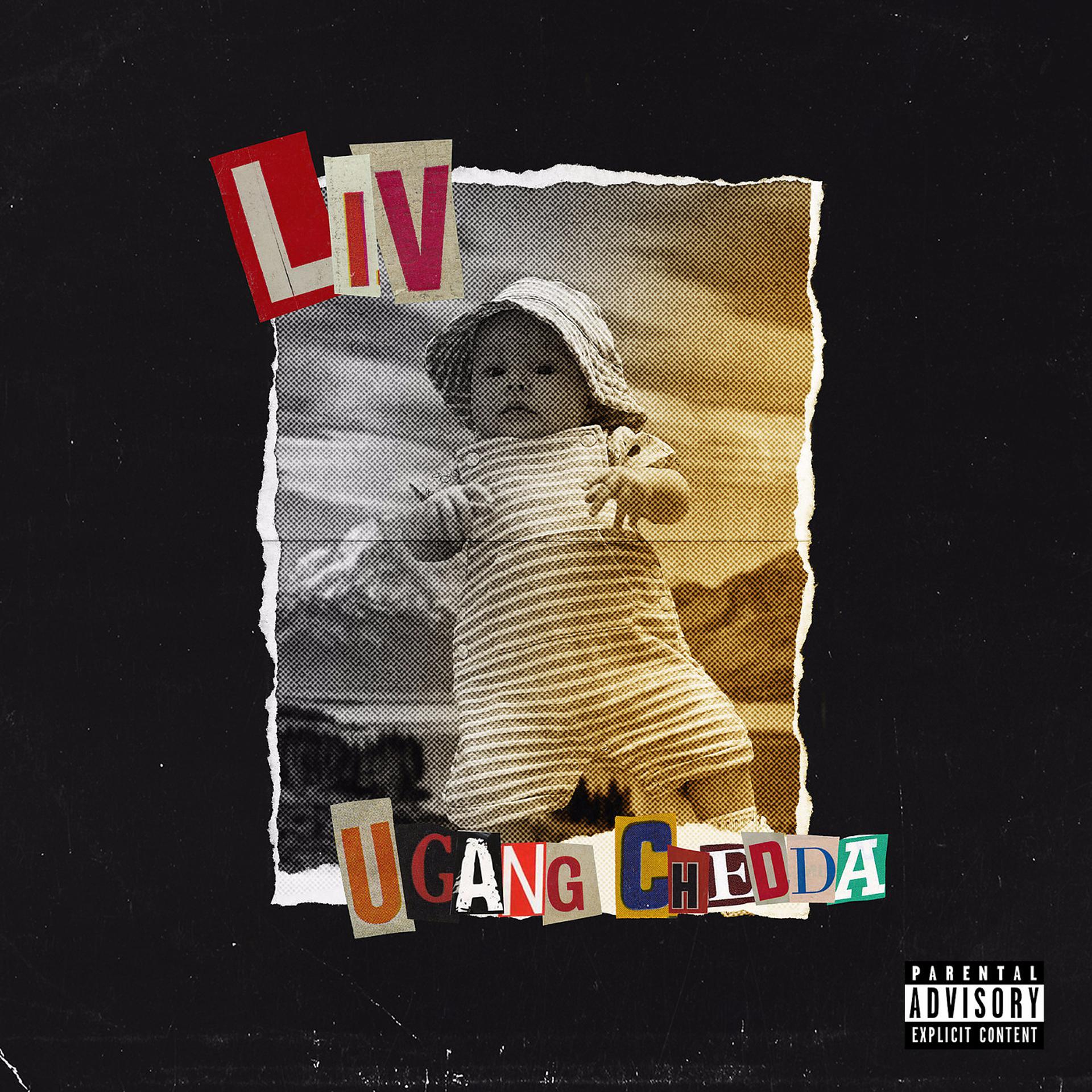 Постер альбома Liv