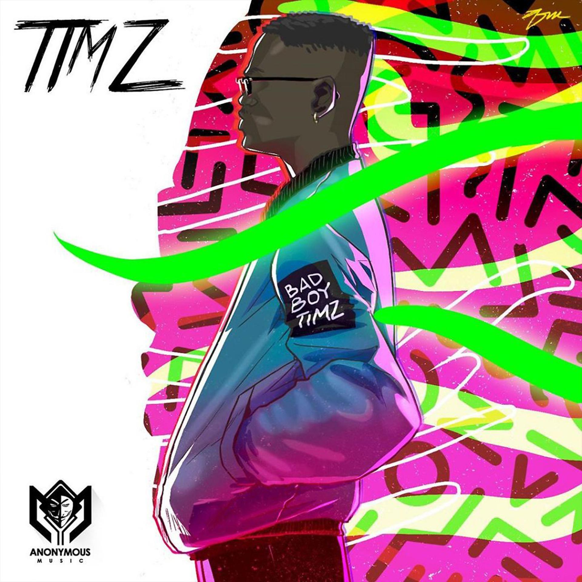 Постер альбома Timz