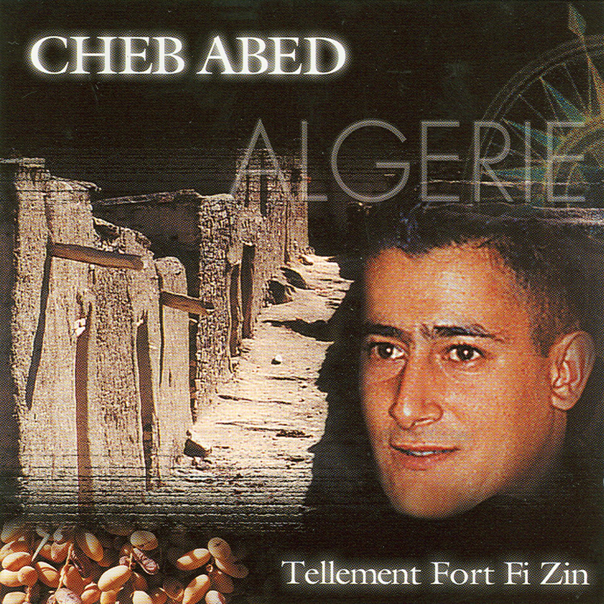 Постер альбома Tellement Fort Fi Zin - Disc 2/2