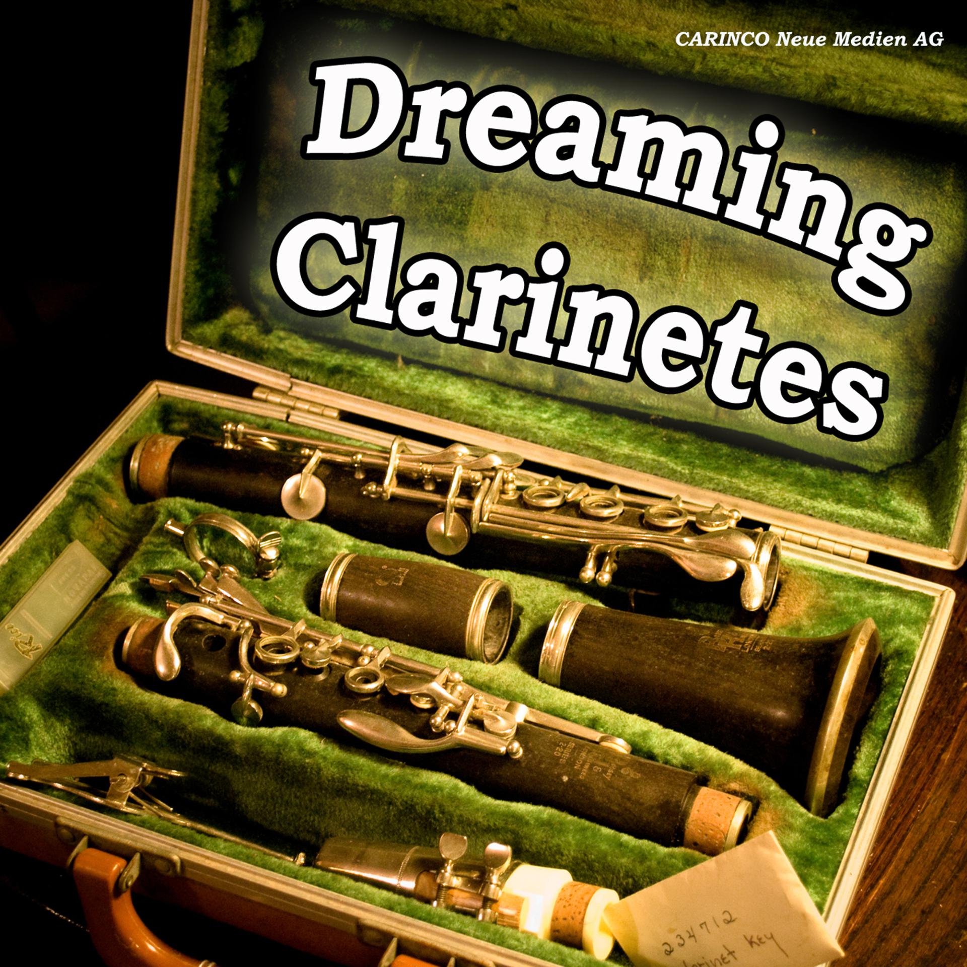 Постер альбома Dreaming Clarinets