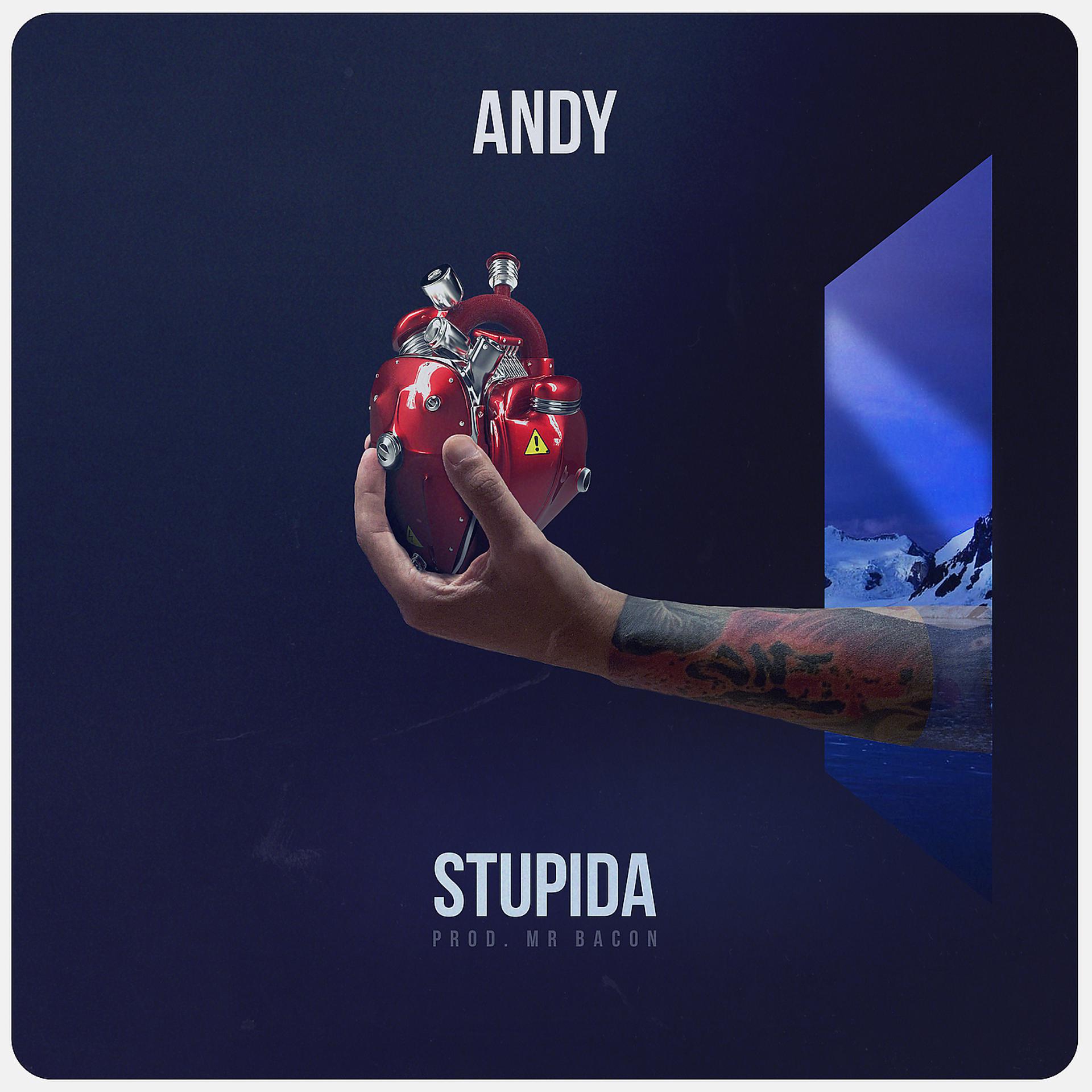 Постер альбома Stupida