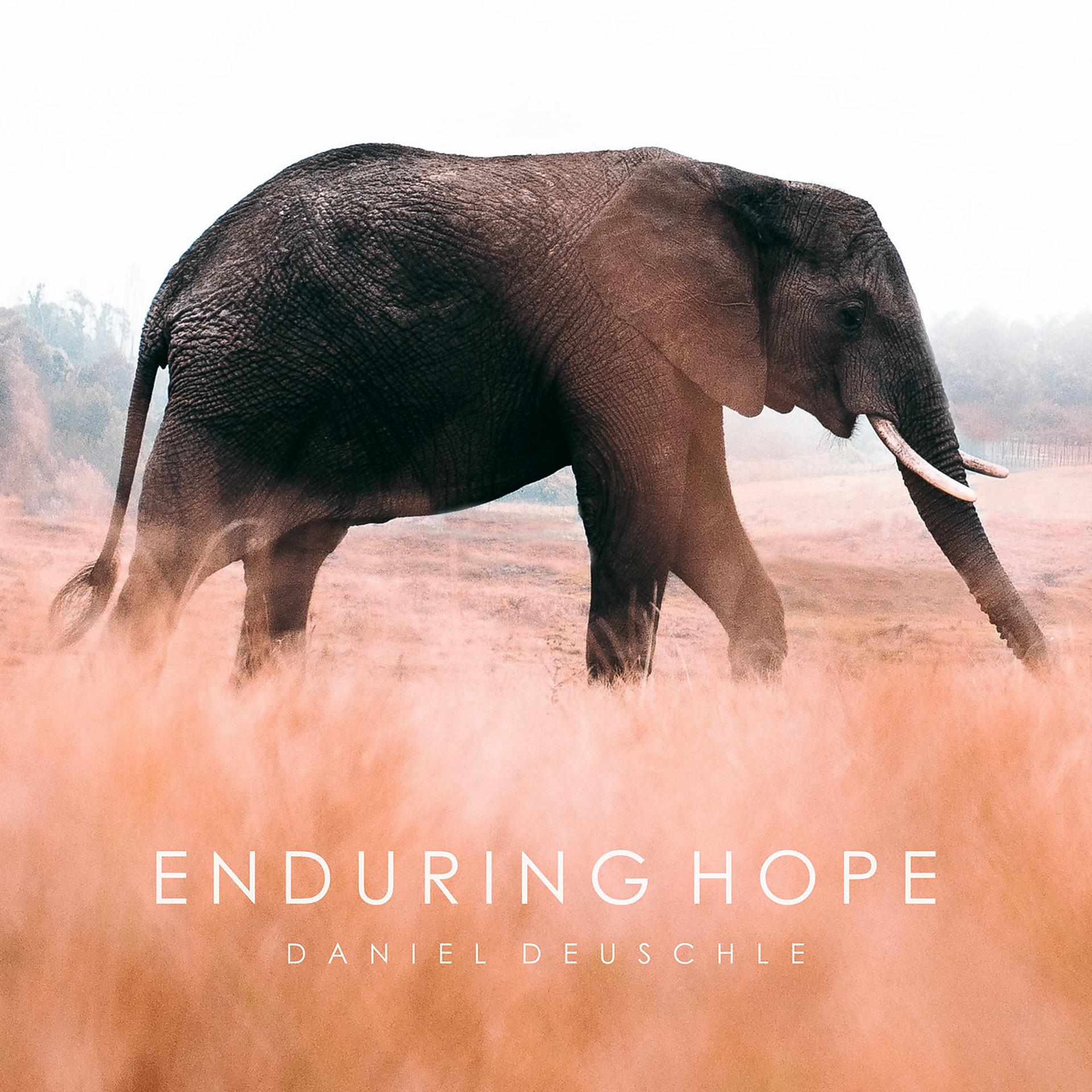 Постер альбома Enduring Hope