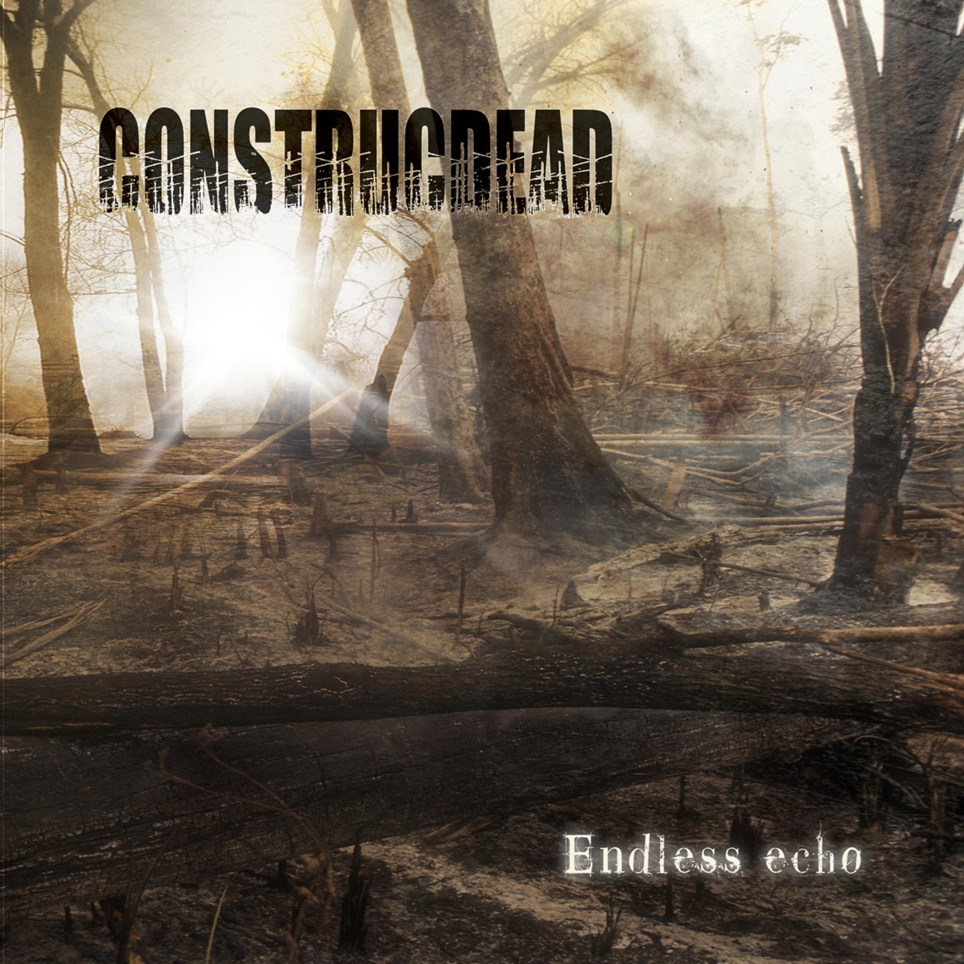 Постер альбома Endless Echo - Limited Edition