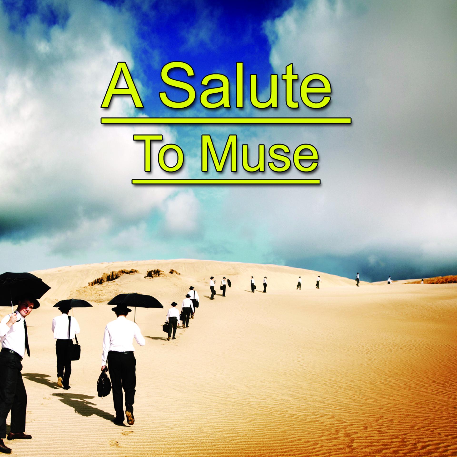 Постер альбома A Salute To Muse