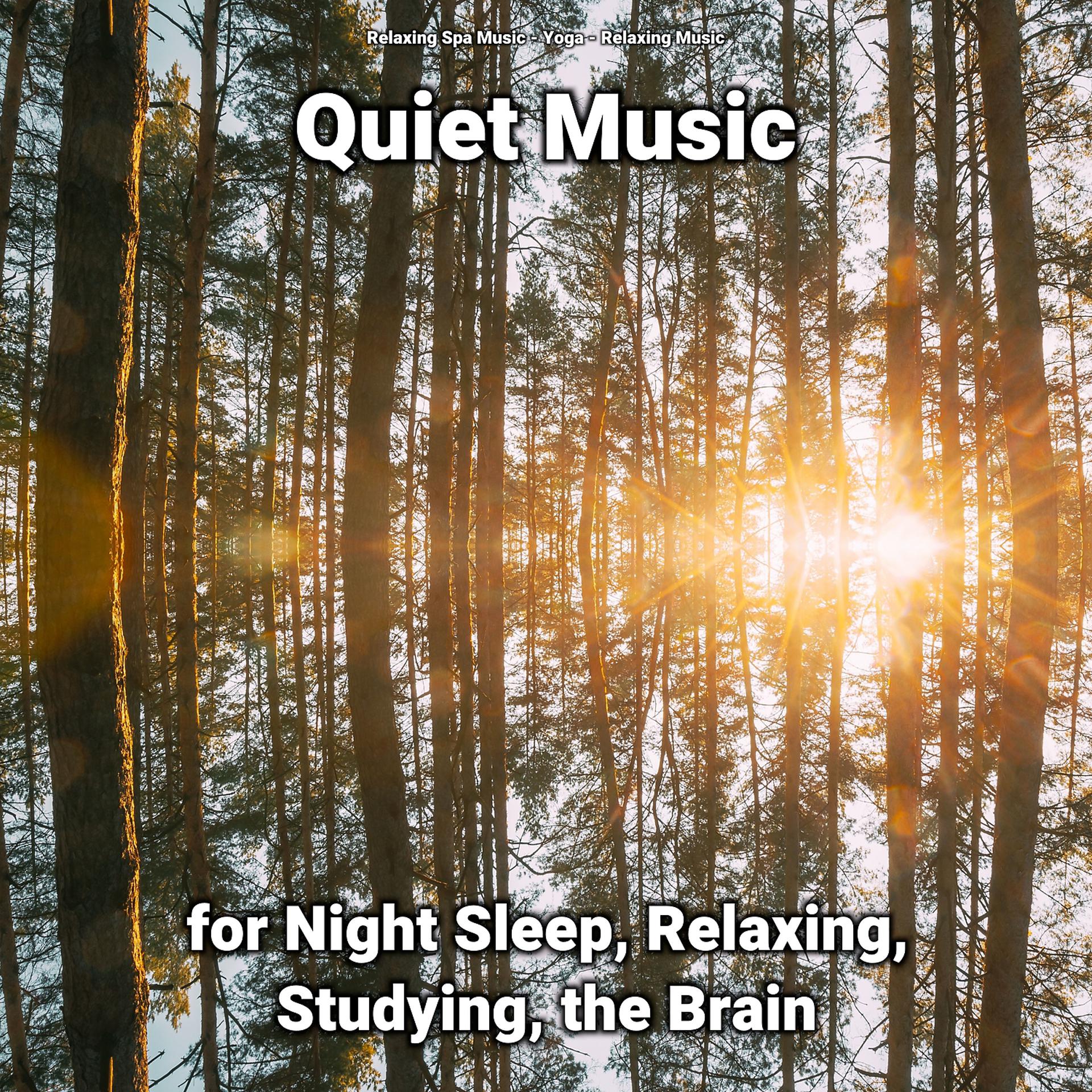 Постер альбома Quiet Music for Night Sleep, Relaxing, Studying, the Brain