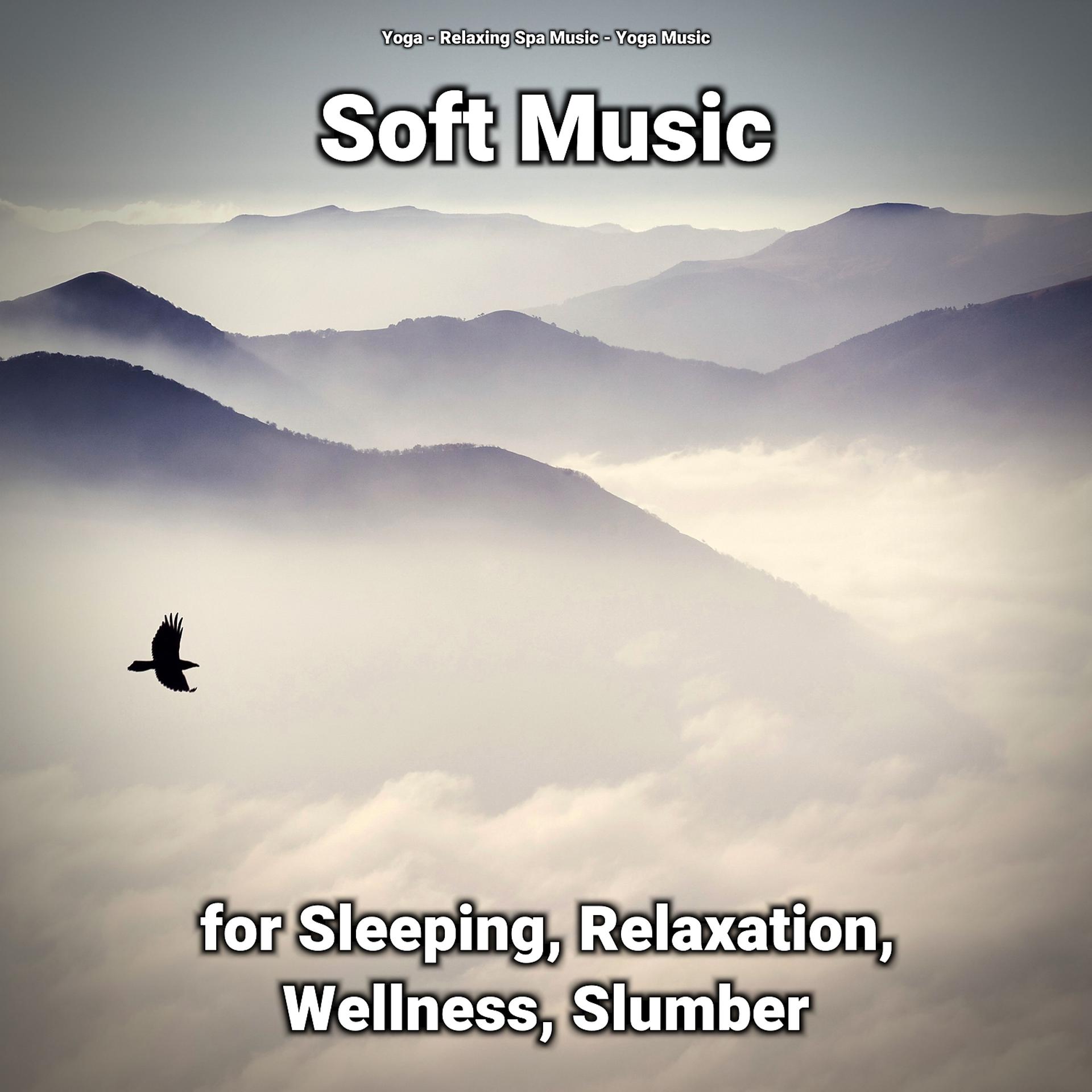 Постер альбома Soft Music for Sleeping, Relaxation, Wellness, Slumber