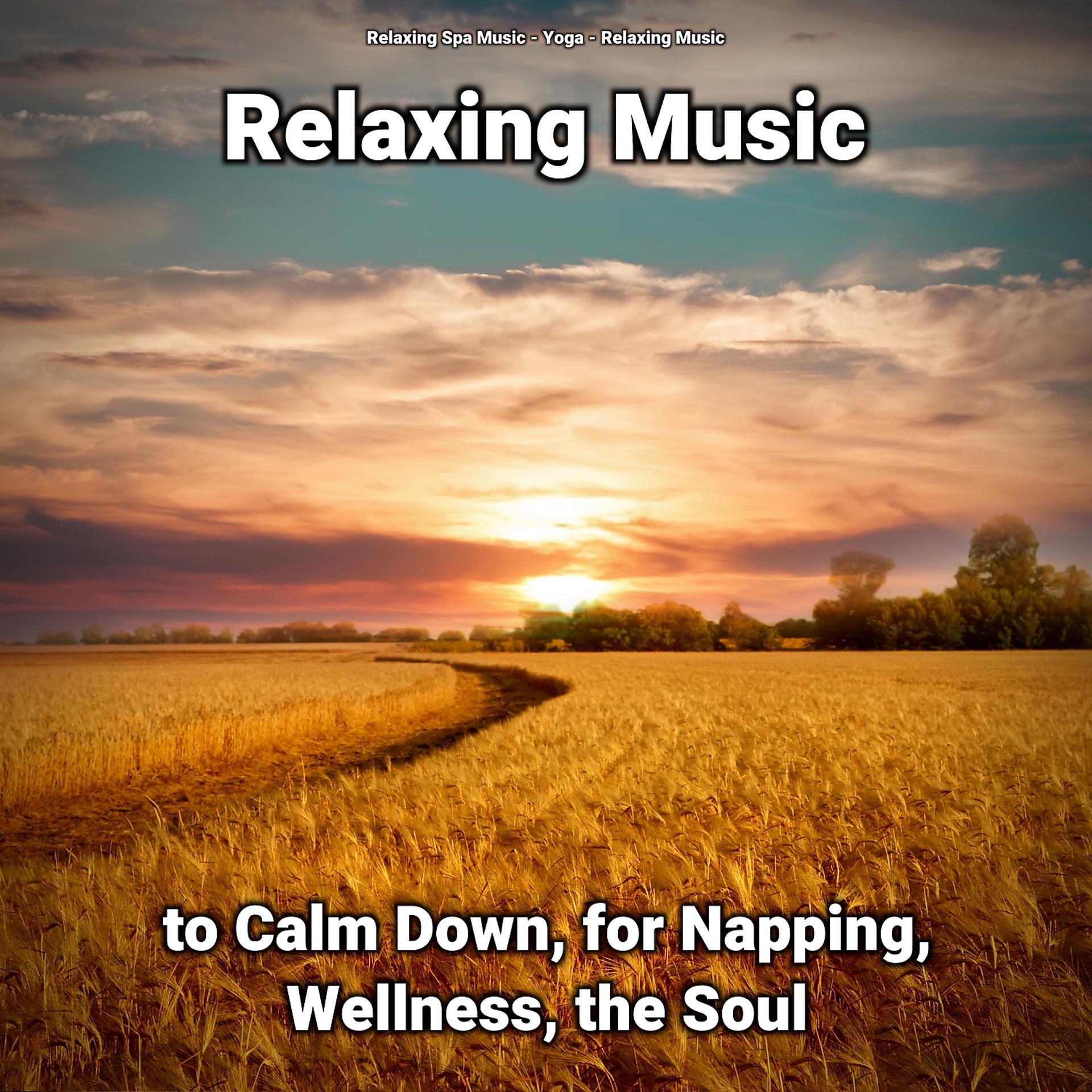 Постер альбома Relaxing Music to Calm Down, for Napping, Wellness, the Soul