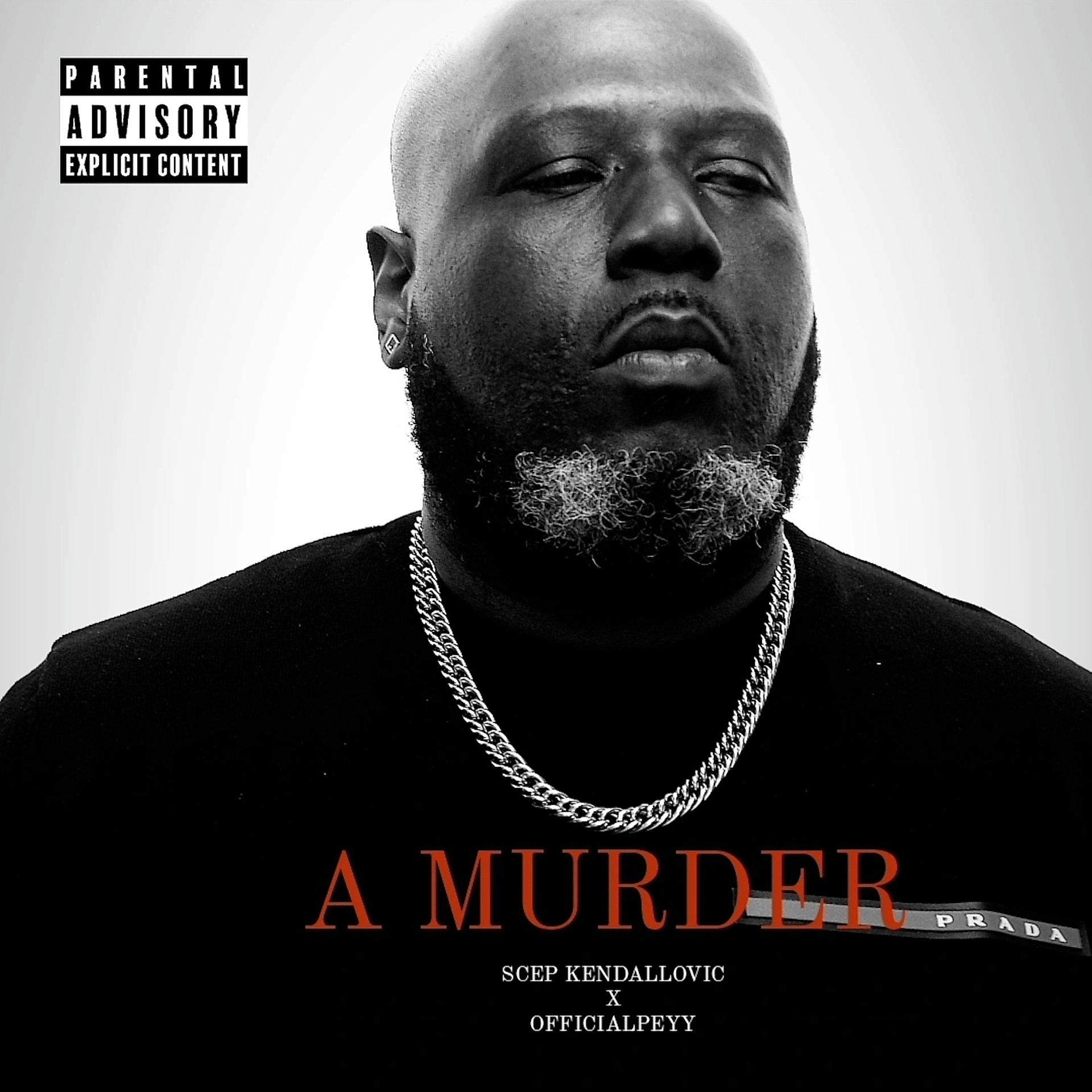 Постер альбома A Murder