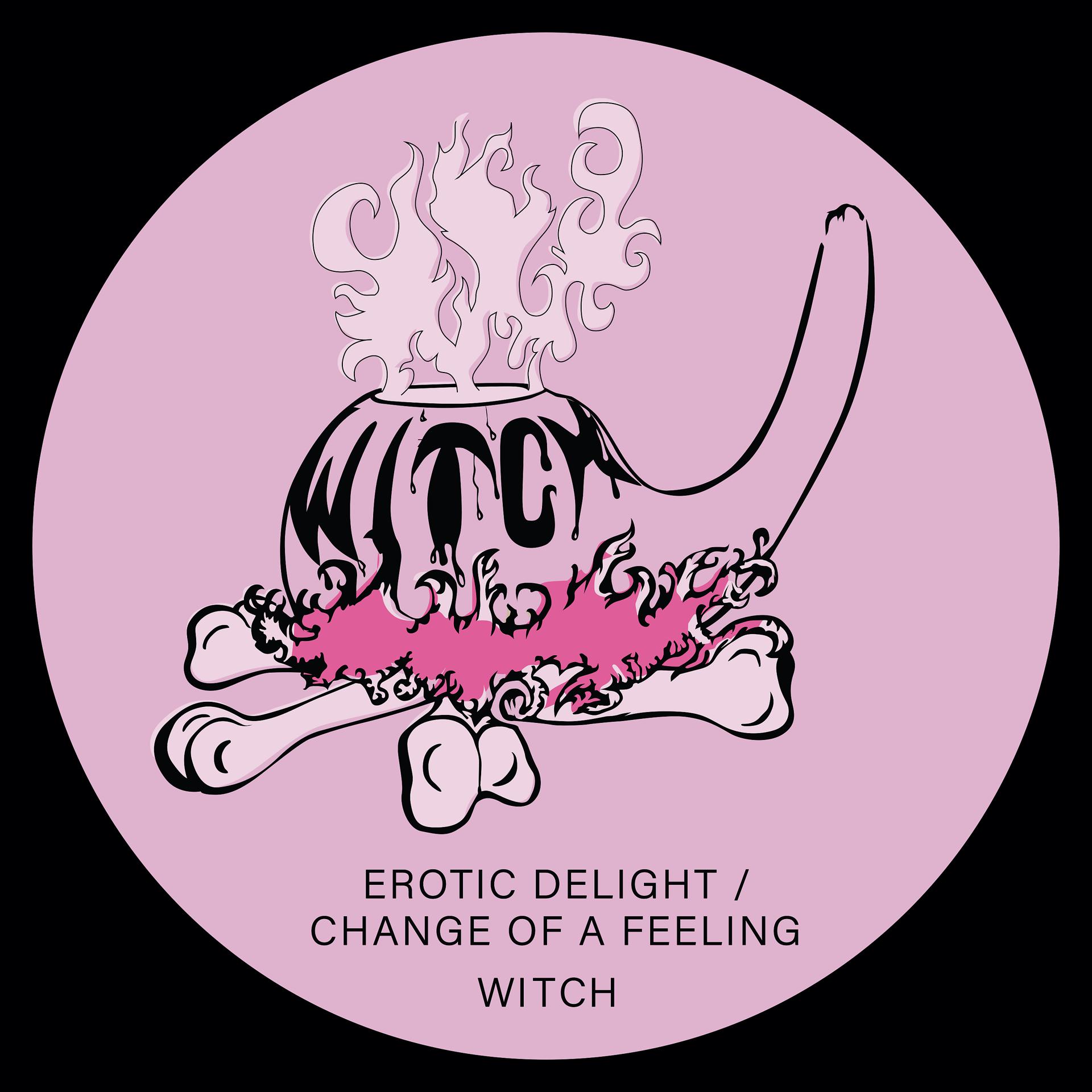 Постер альбома Erotic Delight / Change of a Feeling