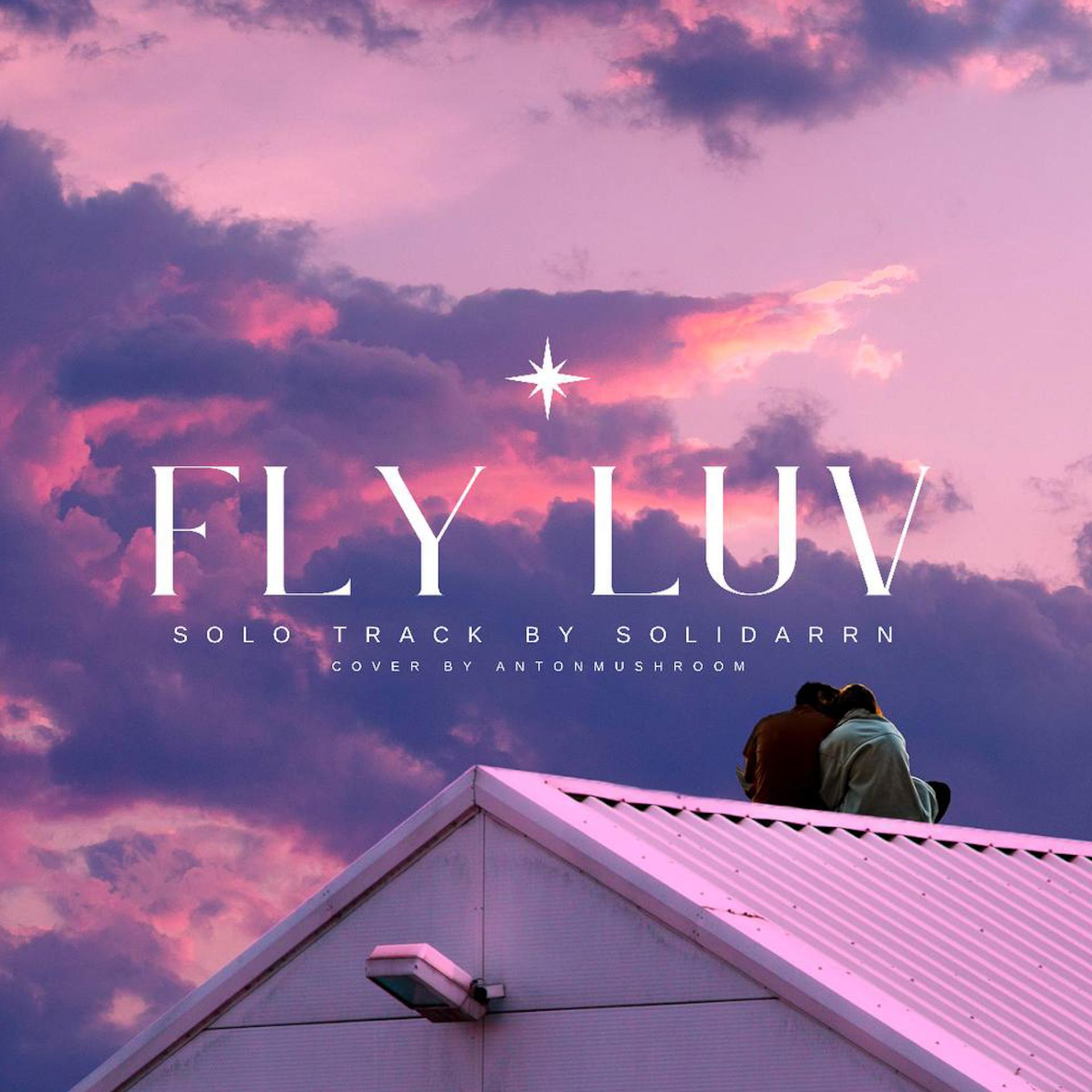 Постер альбома Fly Luv