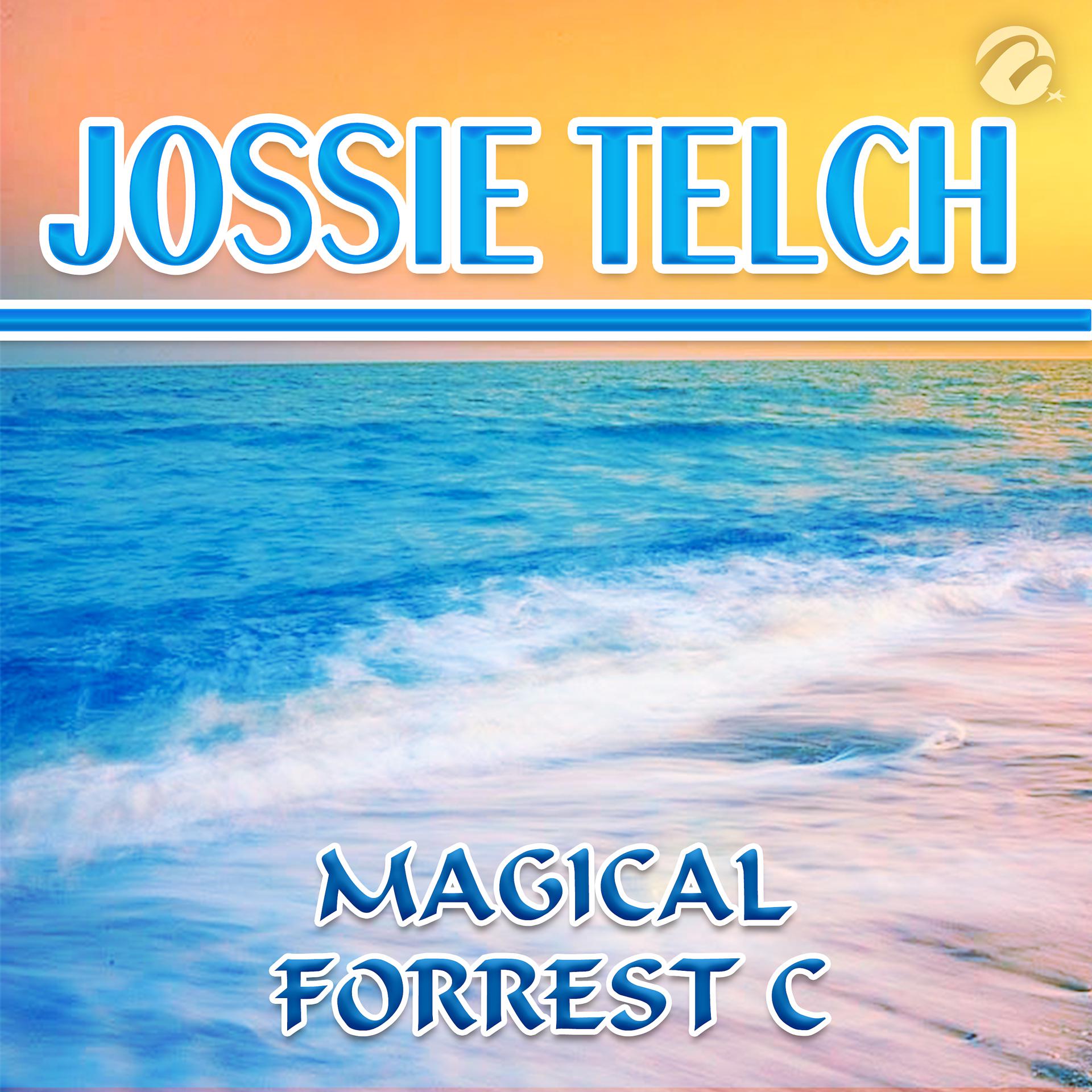 Постер альбома Magical Forrest C
