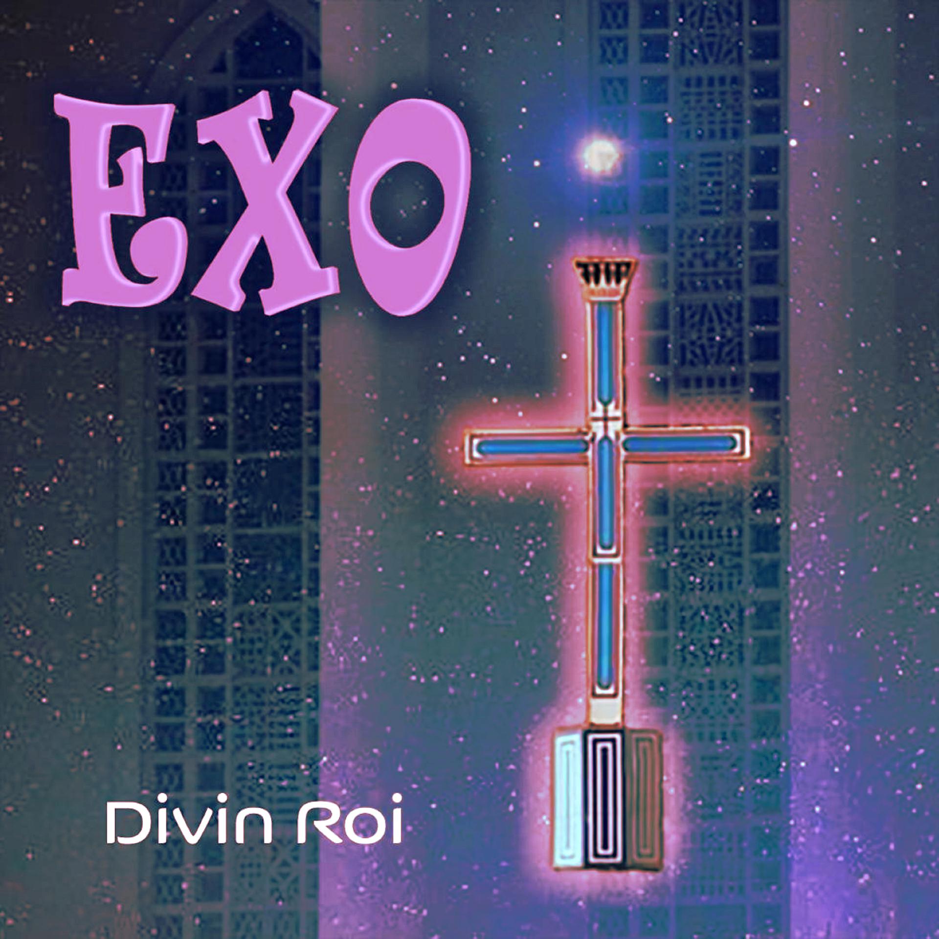 Постер альбома Divin Roi