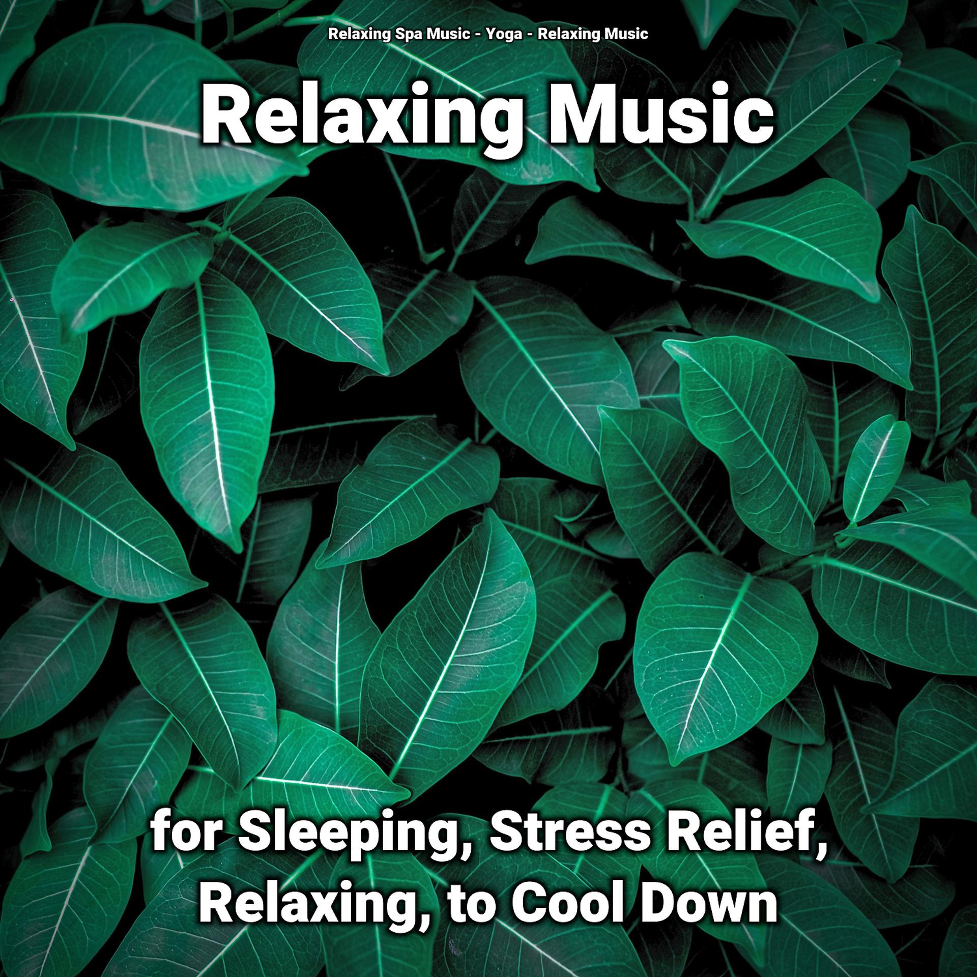 Постер альбома Relaxing Music for Sleeping, Stress Relief, Relaxing, to Cool Down
