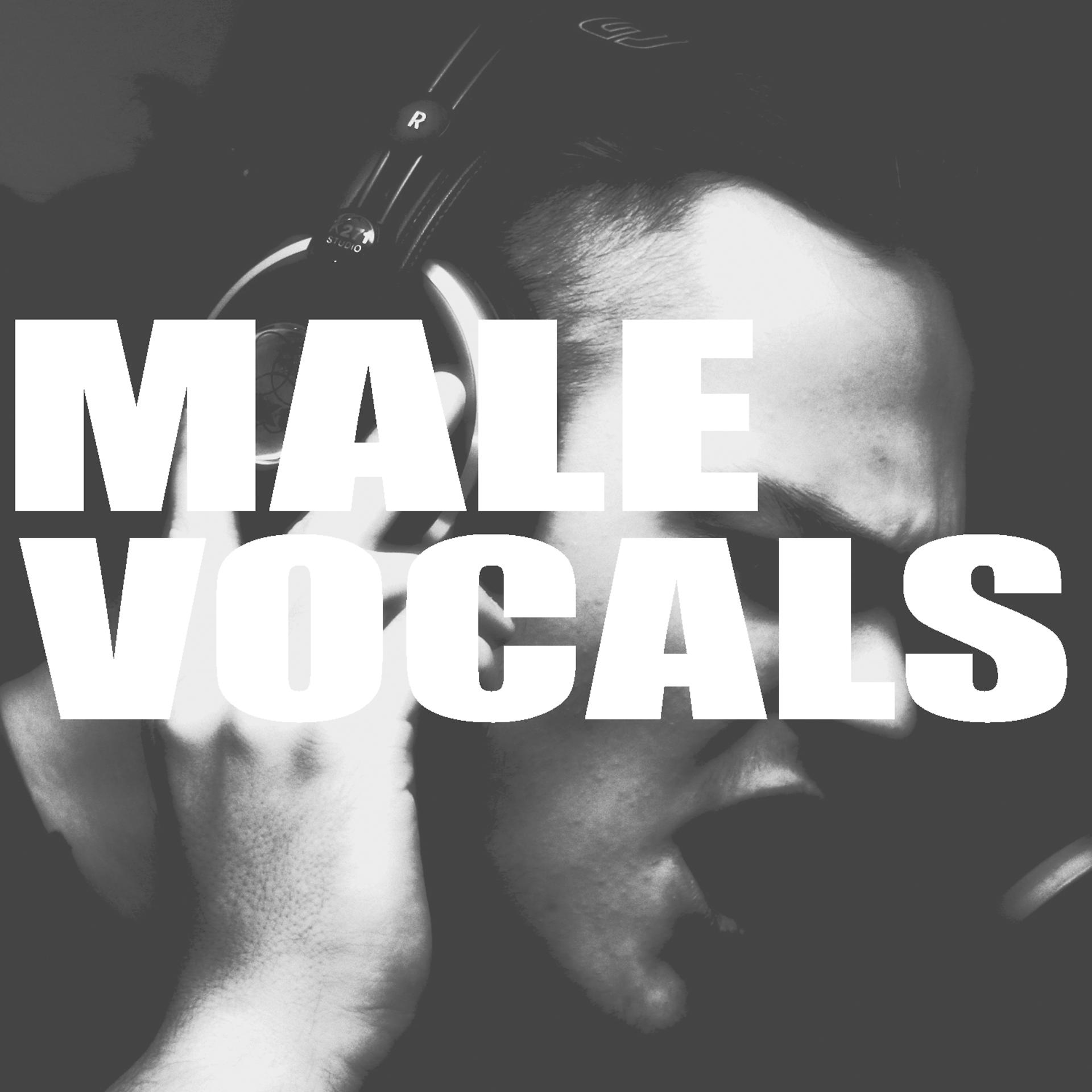 Постер альбома Male Vocals