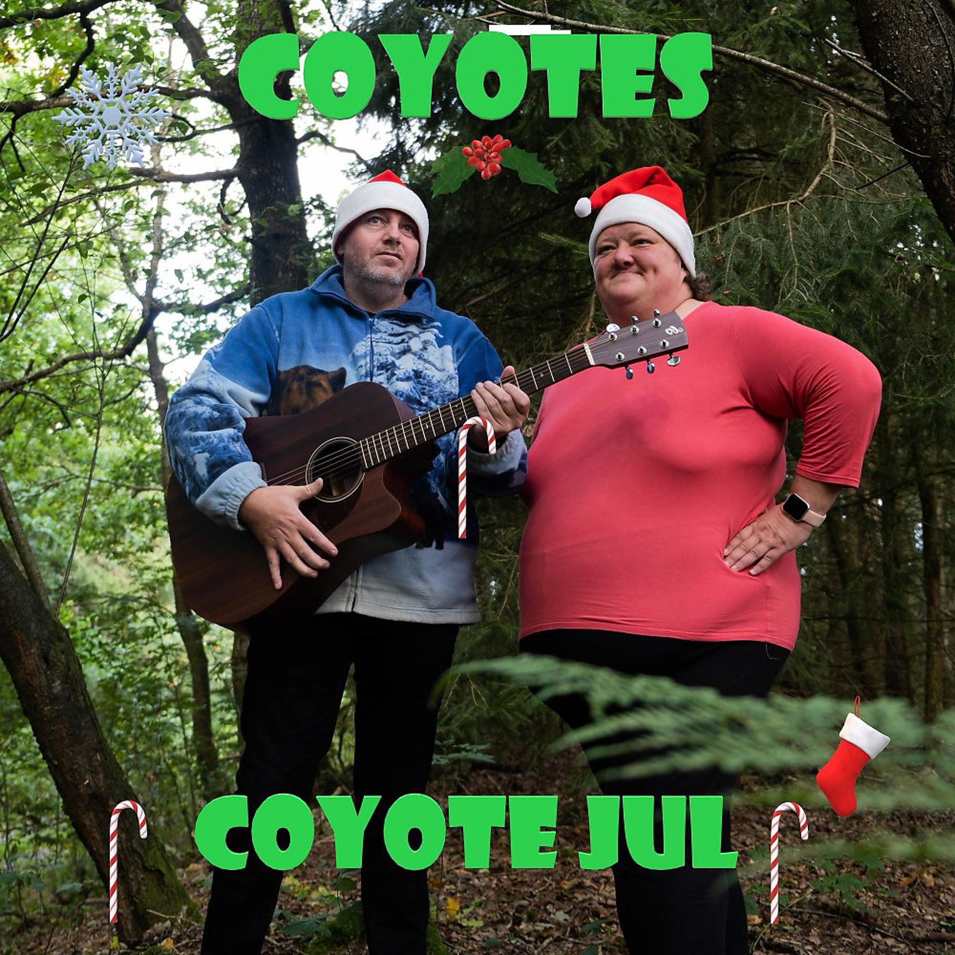 Постер альбома Coyote jul